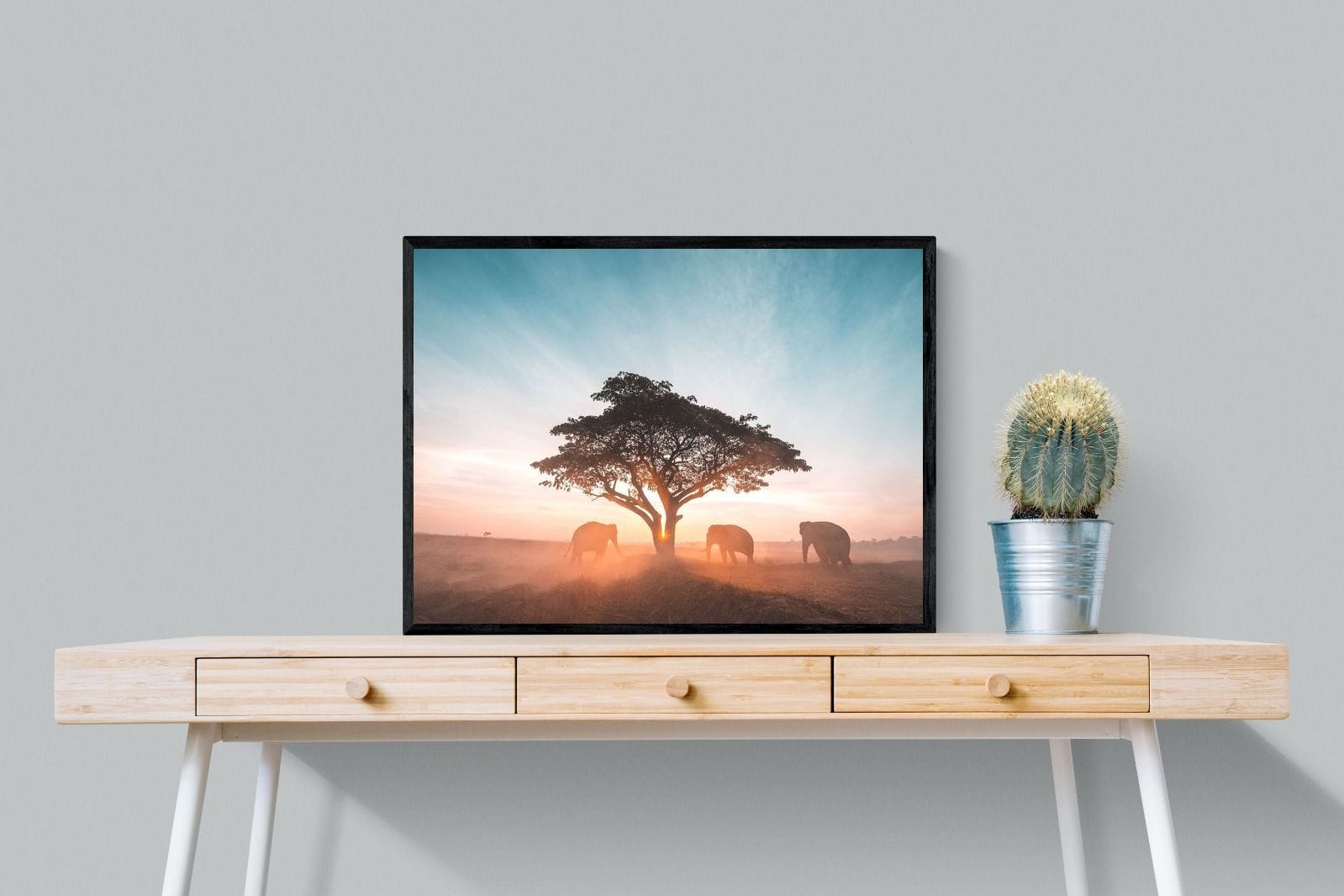 Acacia Cover-Wall_Art-80 x 60cm-Mounted Canvas-Black-Pixalot