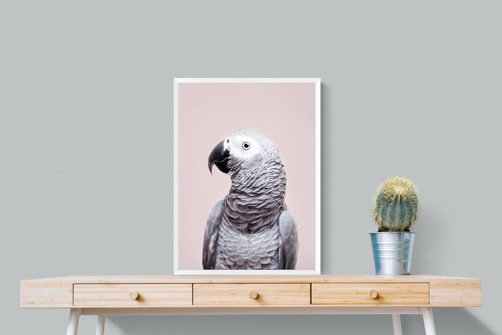 Pixalot African Grey