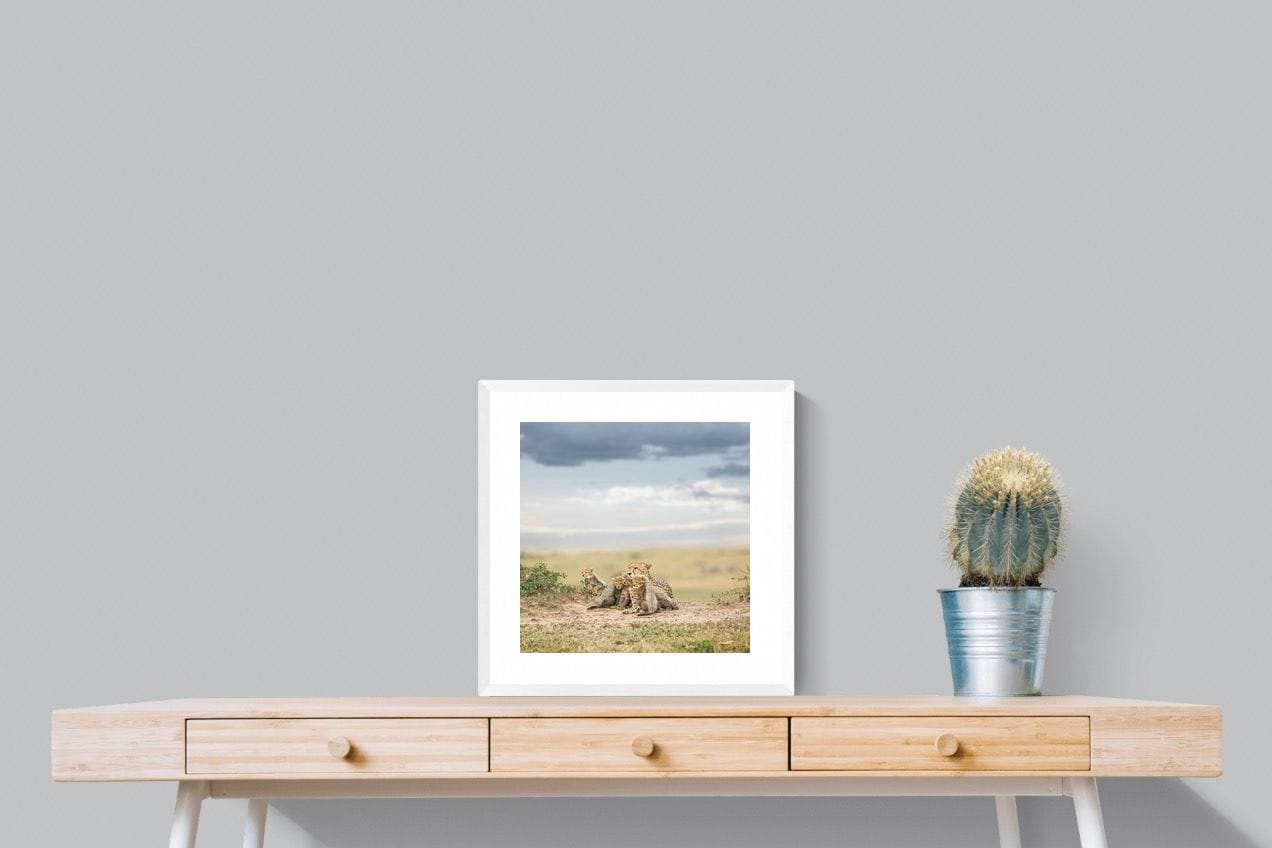 Cheetah Parenting-Wall_Art-50 x 50cm-Framed Print-White-Pixalot