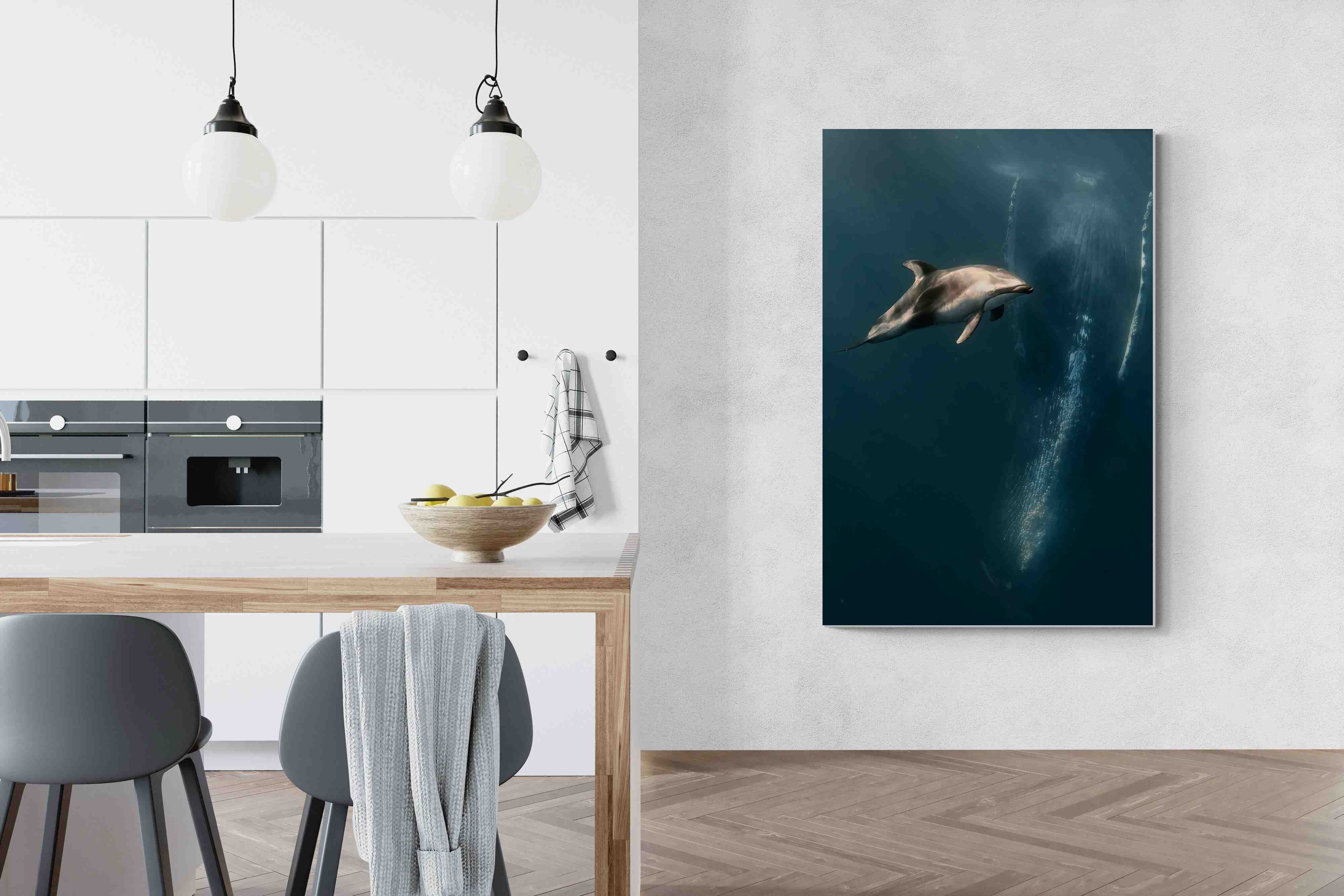 Pixalot Dolphin Meets Whale