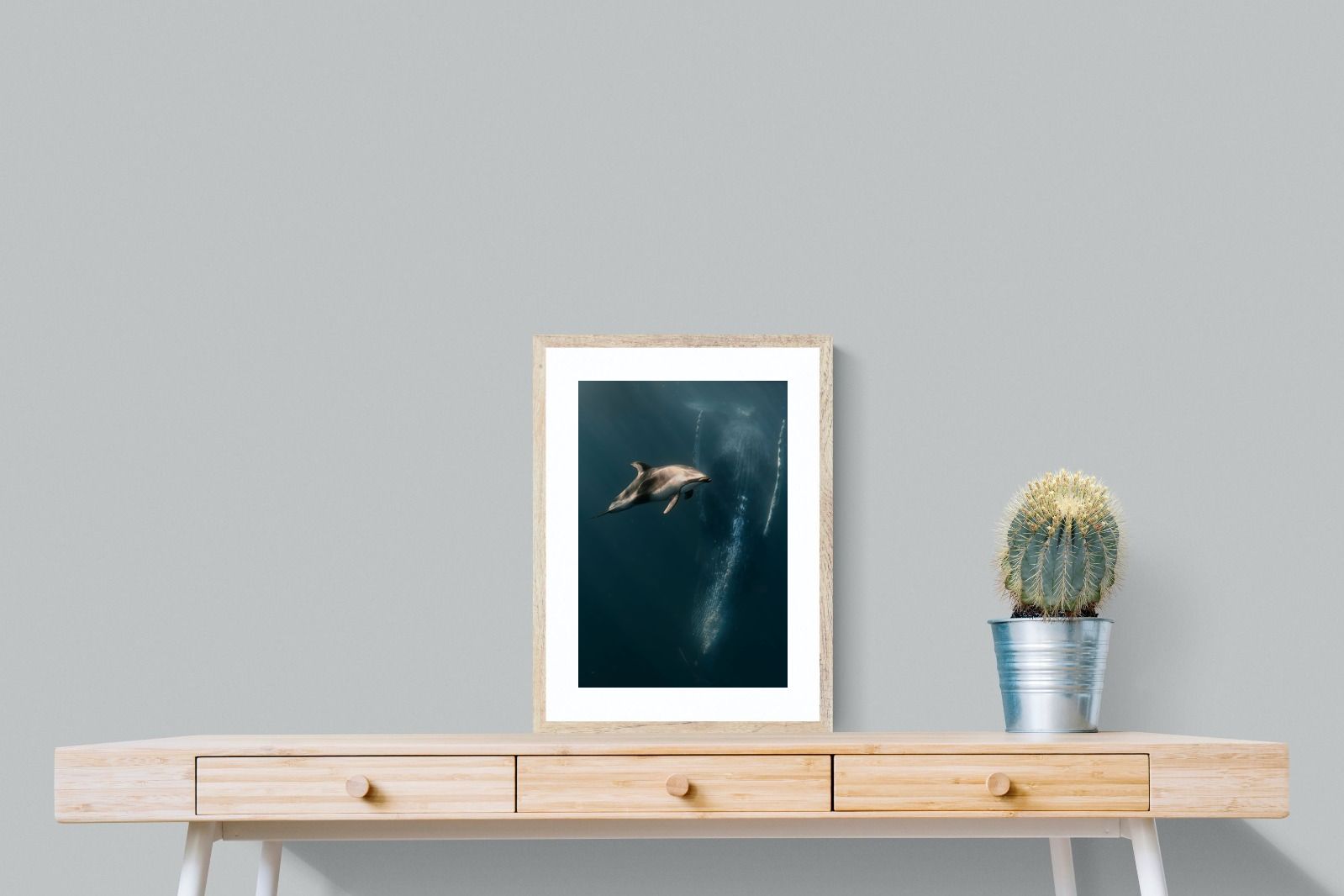 Pixalot Dolphin Meets Whale