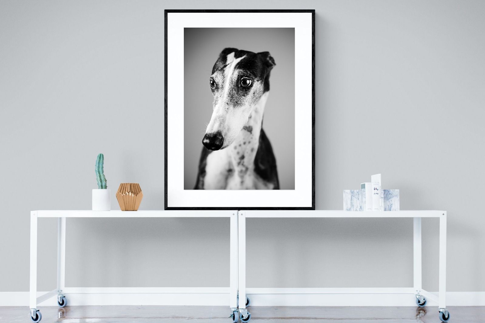 Pixalot Greyhound
