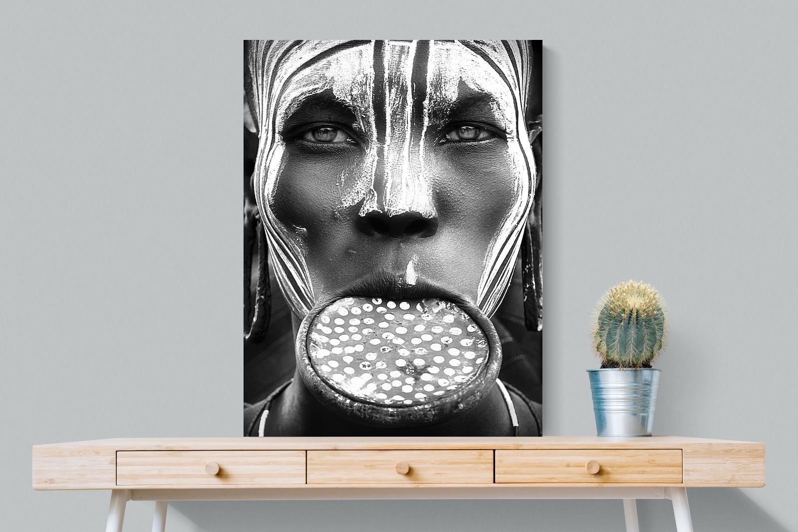 Pixalot Mersi Lip Plate