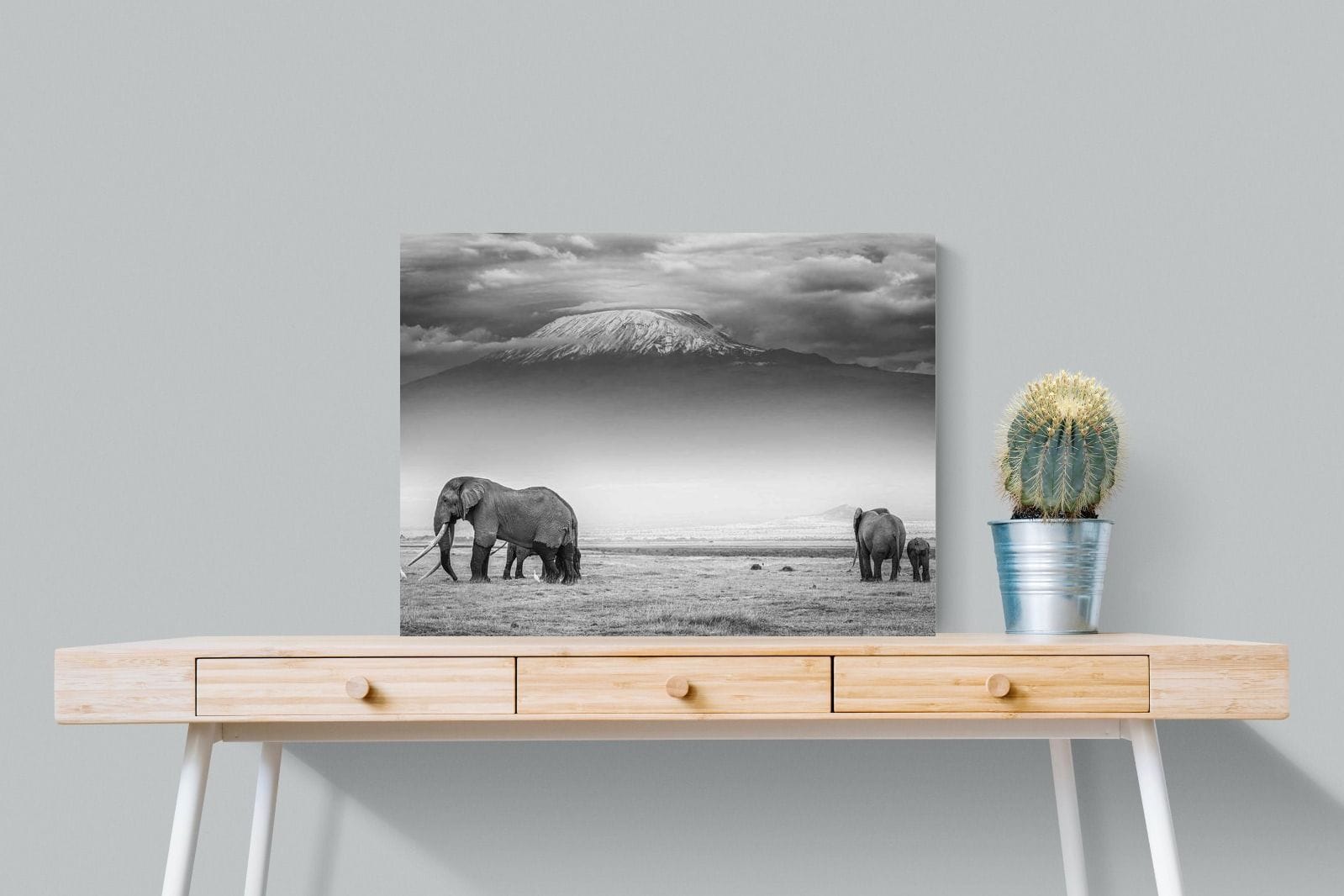 Mountain Ele-Wall_Art-80 x 60cm-Mounted Canvas-No Frame-Pixalot