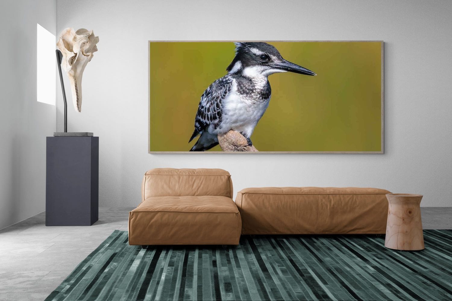 Pixalot Pied Kingfisher