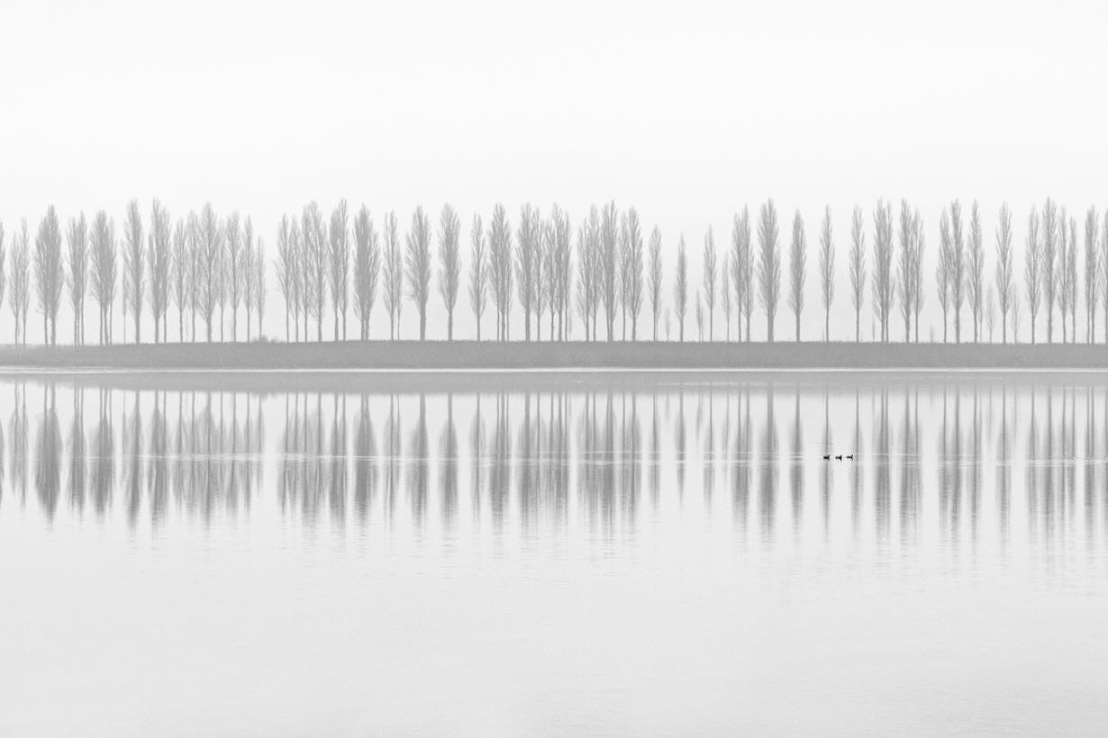 Rhine-Wall_Art-Pixalot