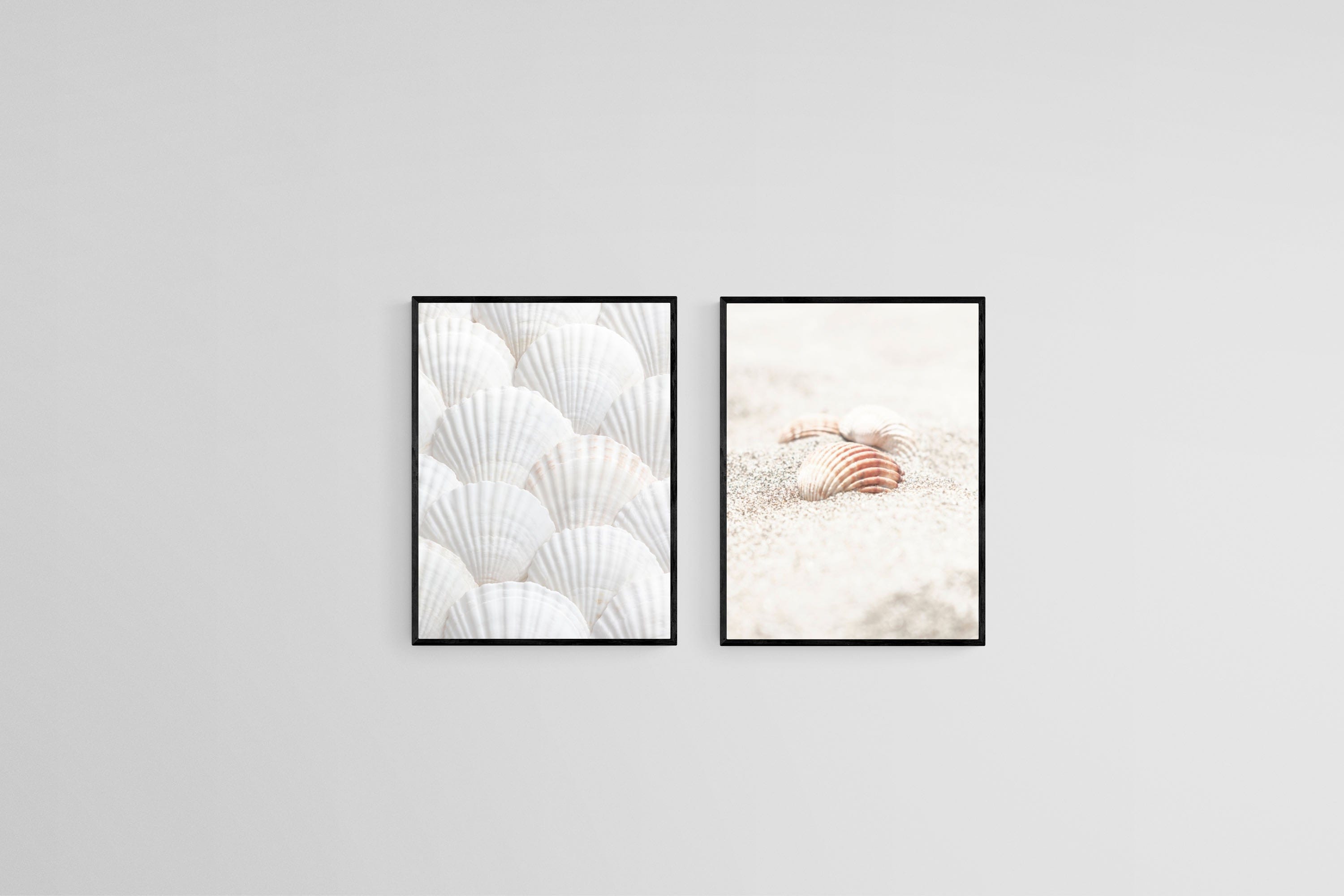 Seashell Set-Wall_Art-45 x 60cm (x2)-Mounted Canvas-Black-Pixalot
