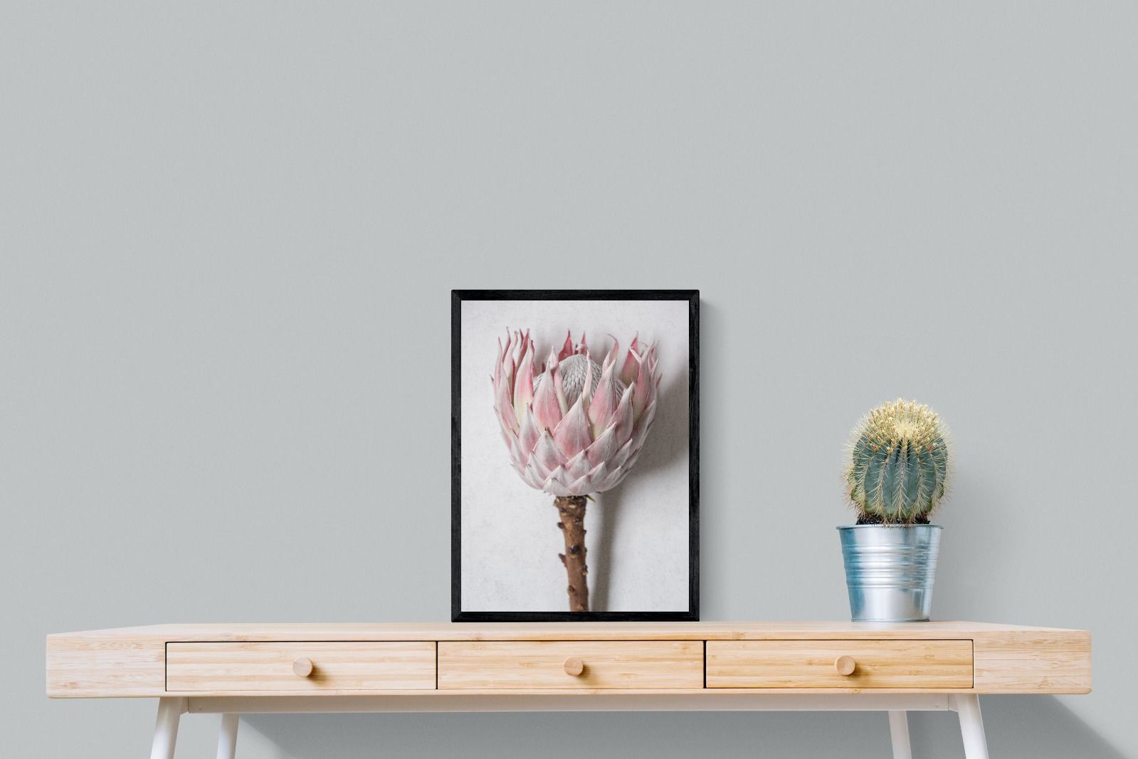 Pixalot Single Pink King Protea