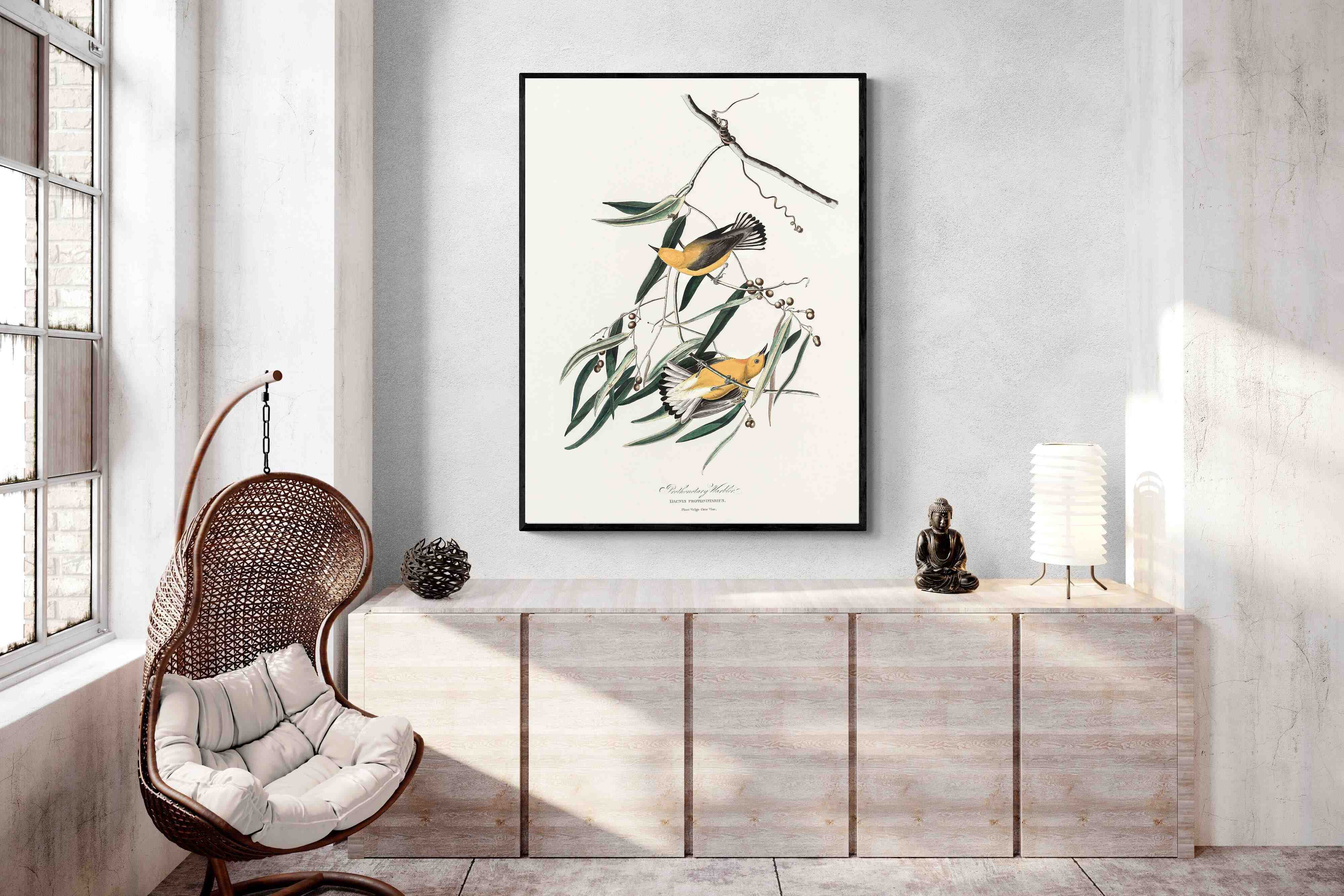 Pixalot Warbler (Birds of America 1827)