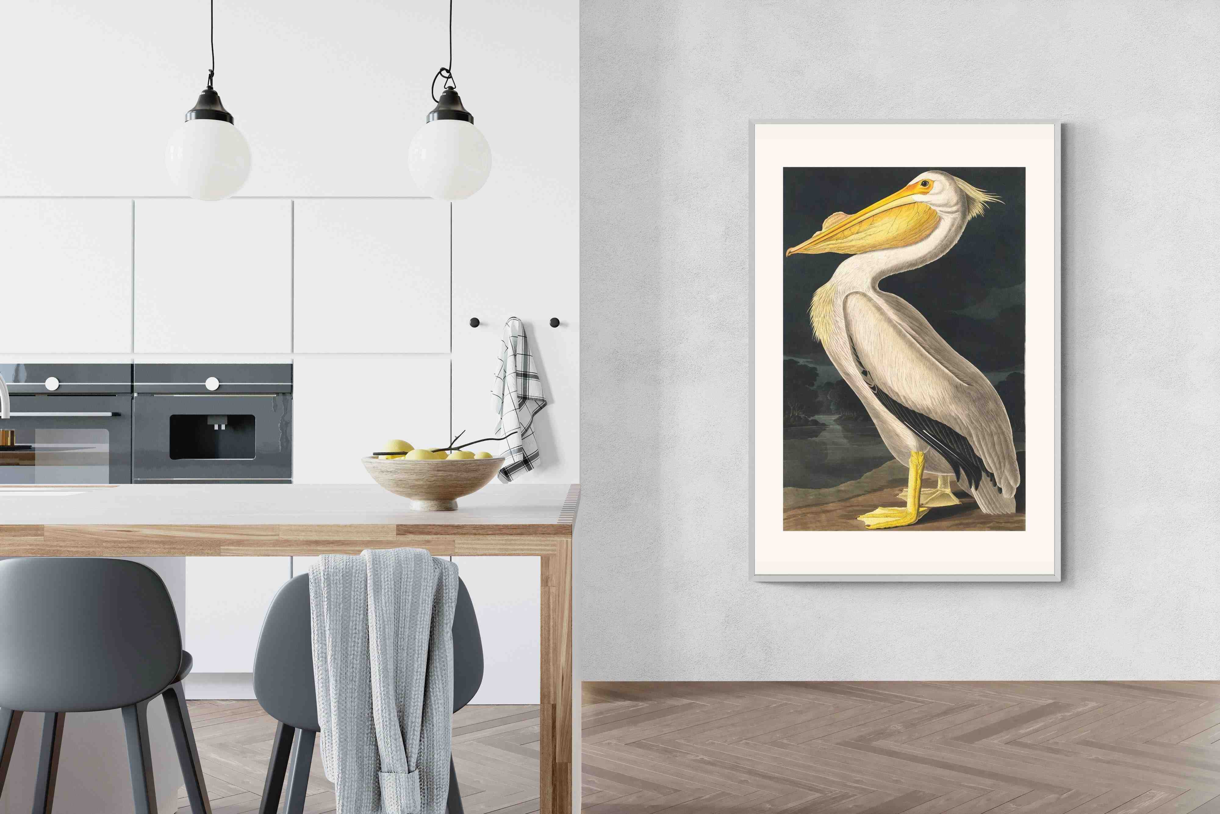 Pixalot White Pelican (Birds of America 1827)