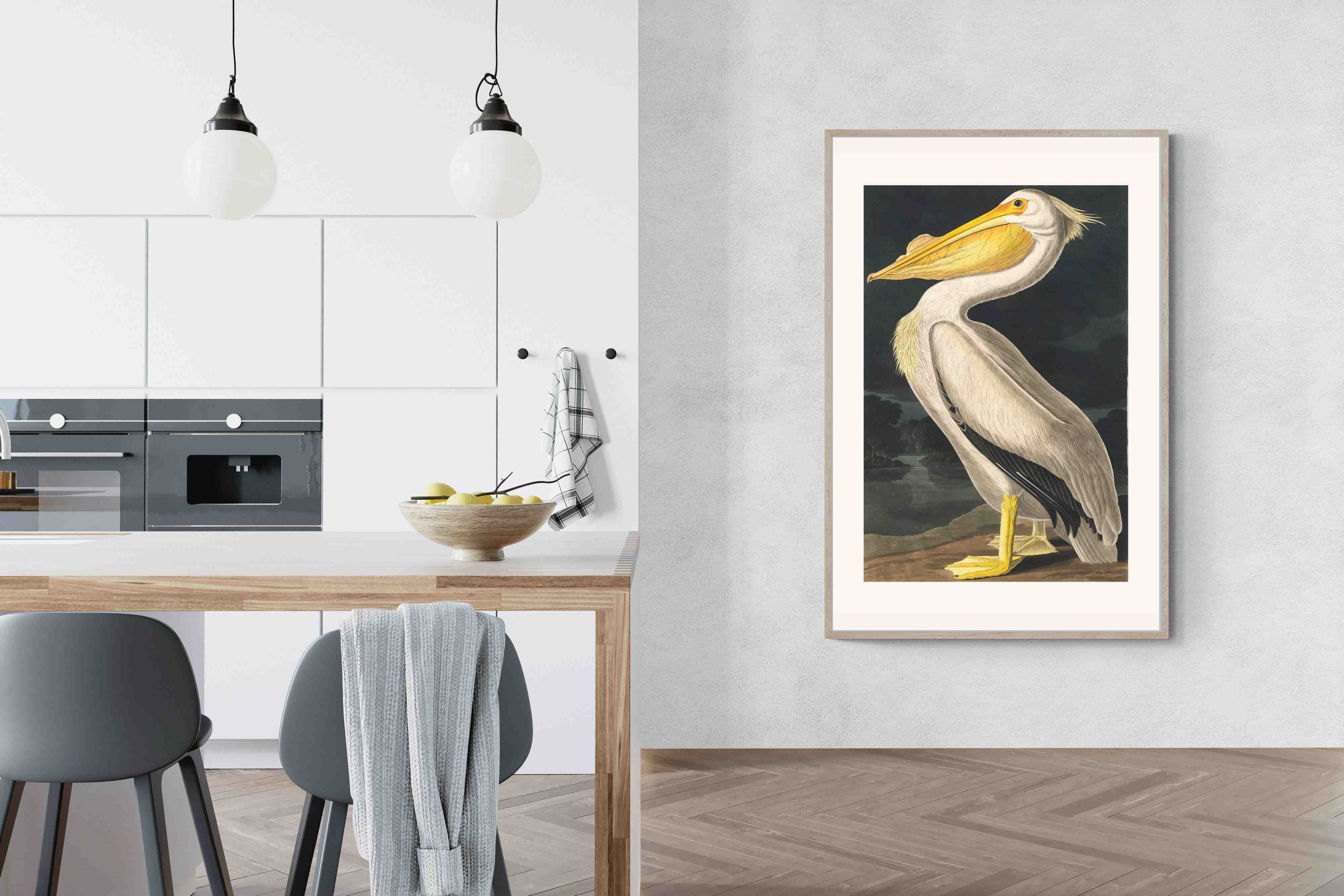 Pixalot White Pelican (Birds of America 1827)