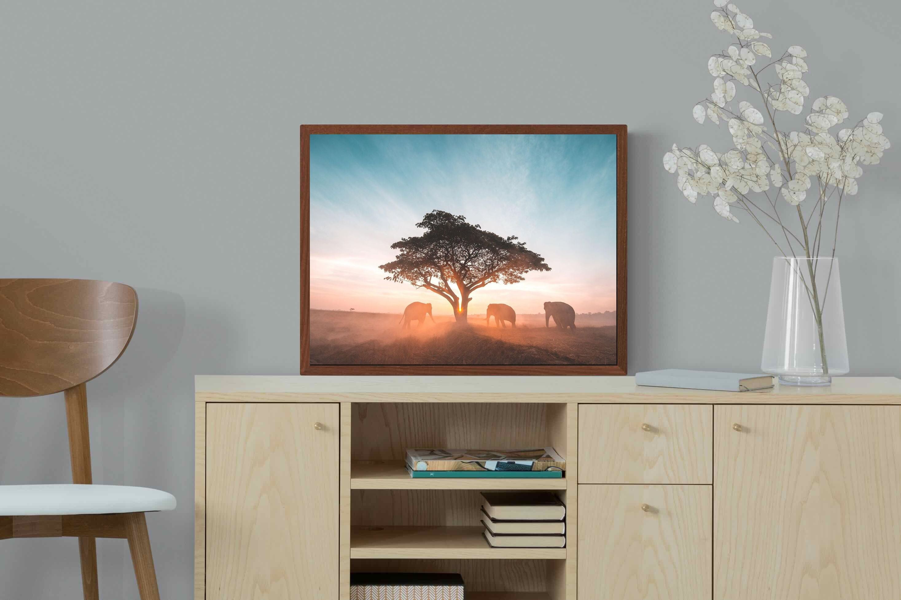Pixalot ® Acacia Cover