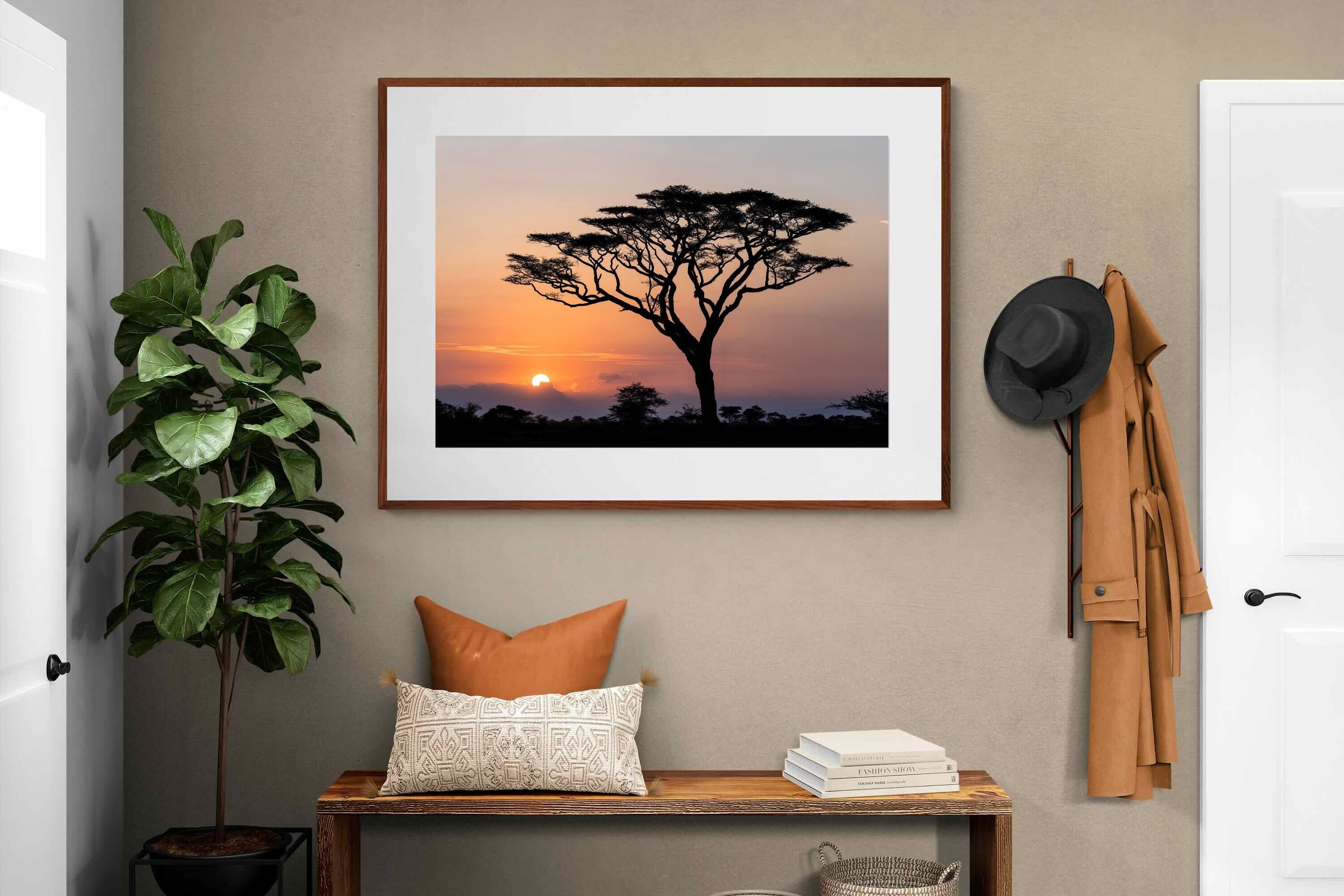 Pixalot ® Acacia Sunset