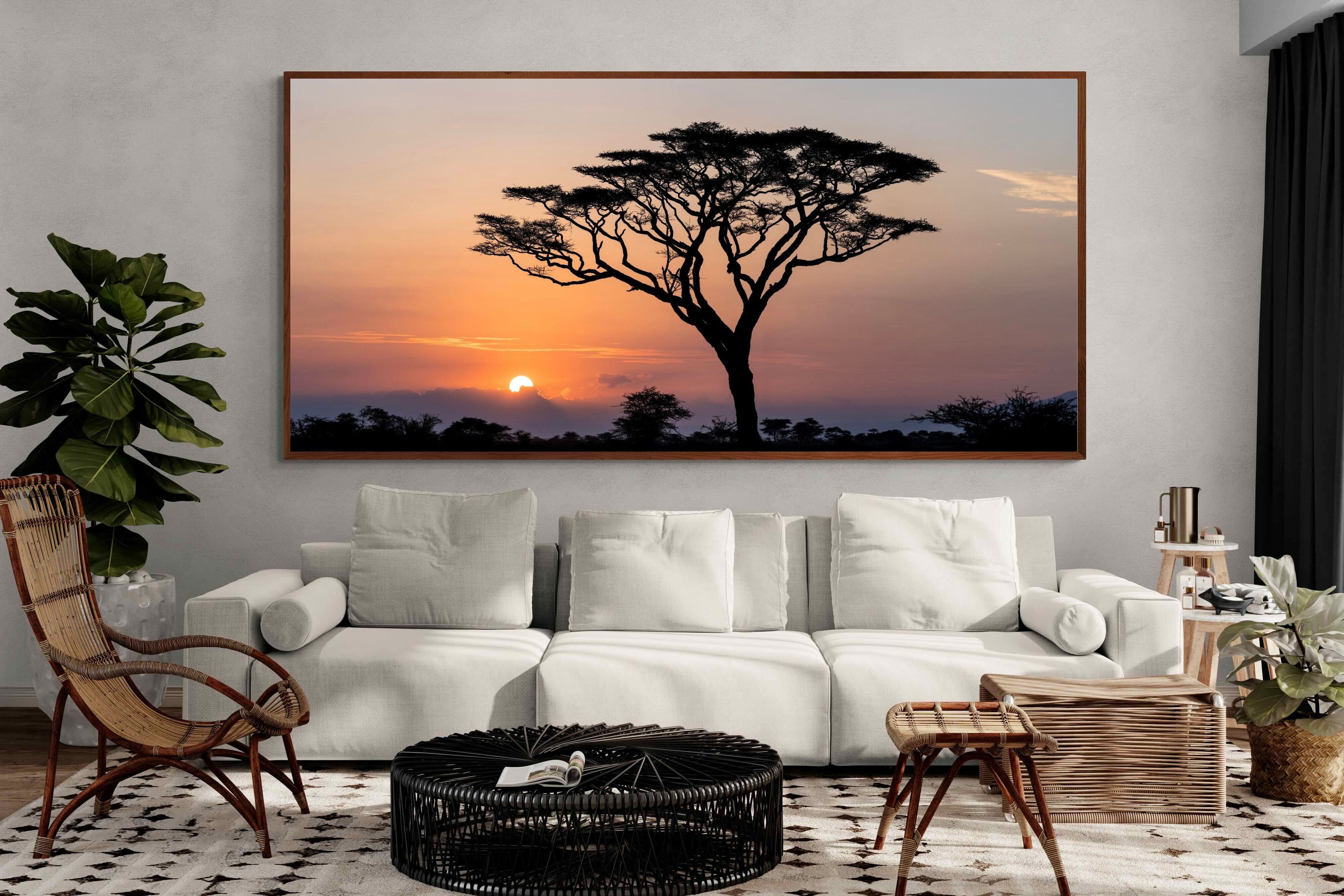 Pixalot ® Acacia Sunset