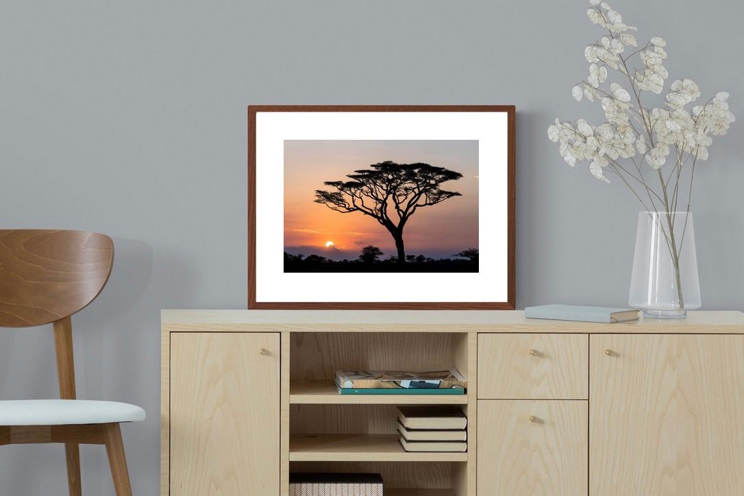 Pixalot ® Acacia Sunset