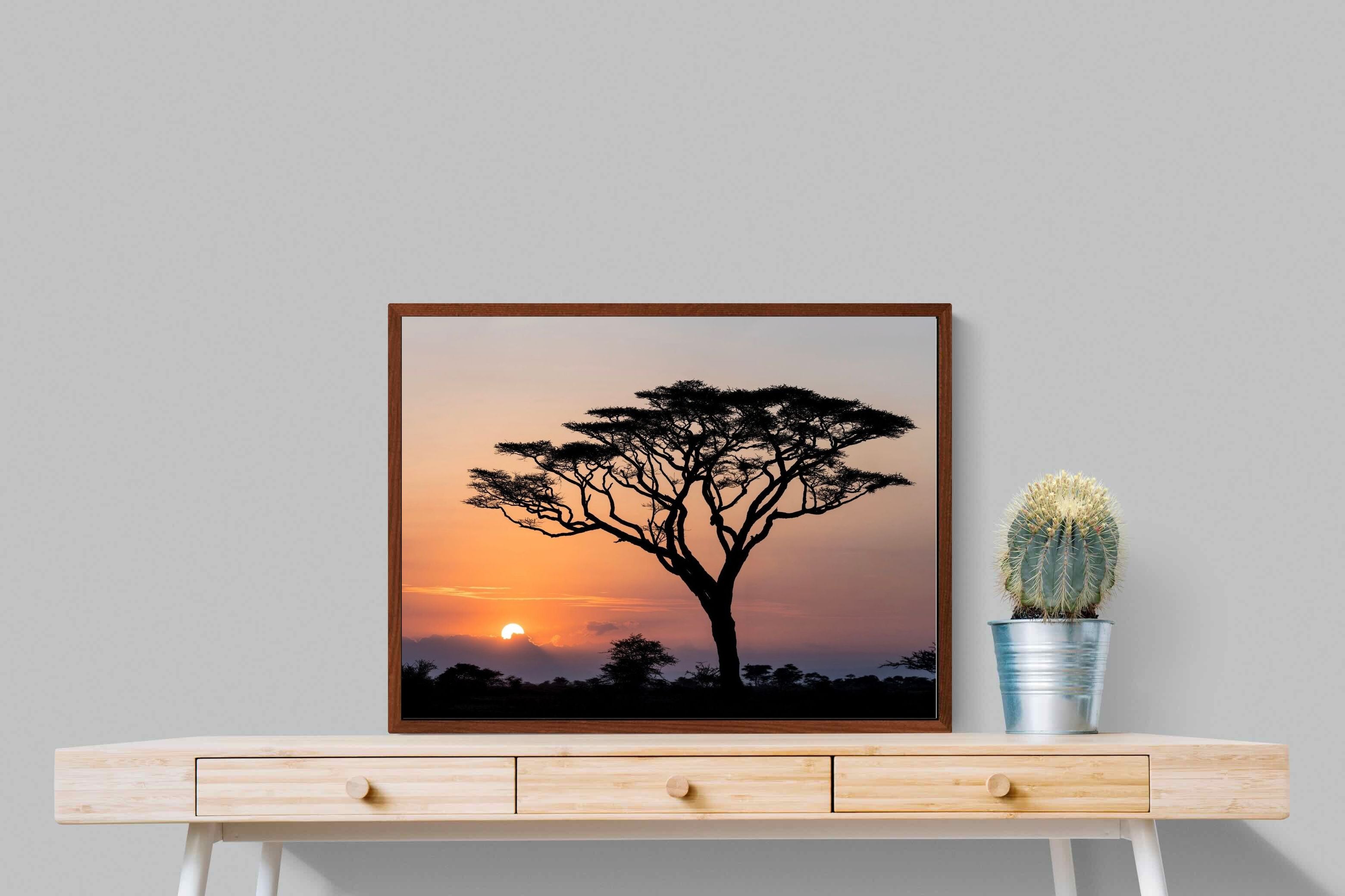Pixalot ® Acacia Sunset