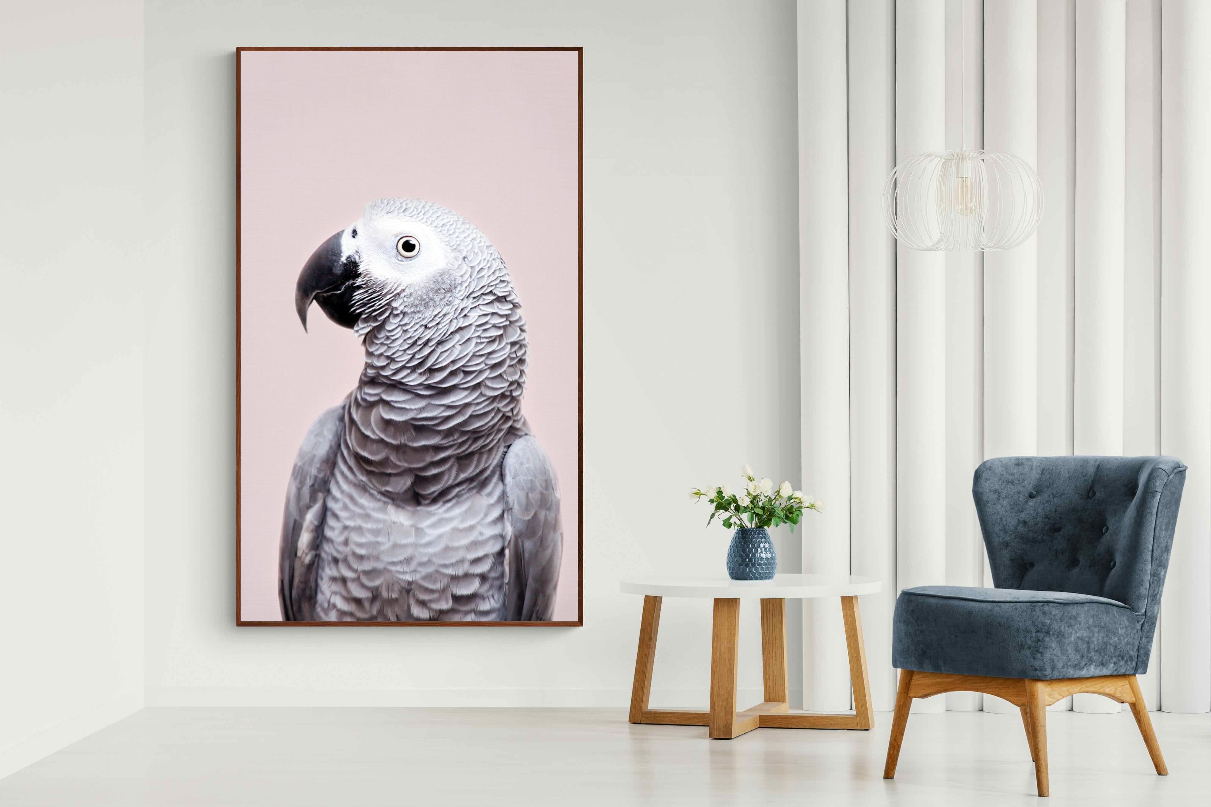 Pixalot African Grey