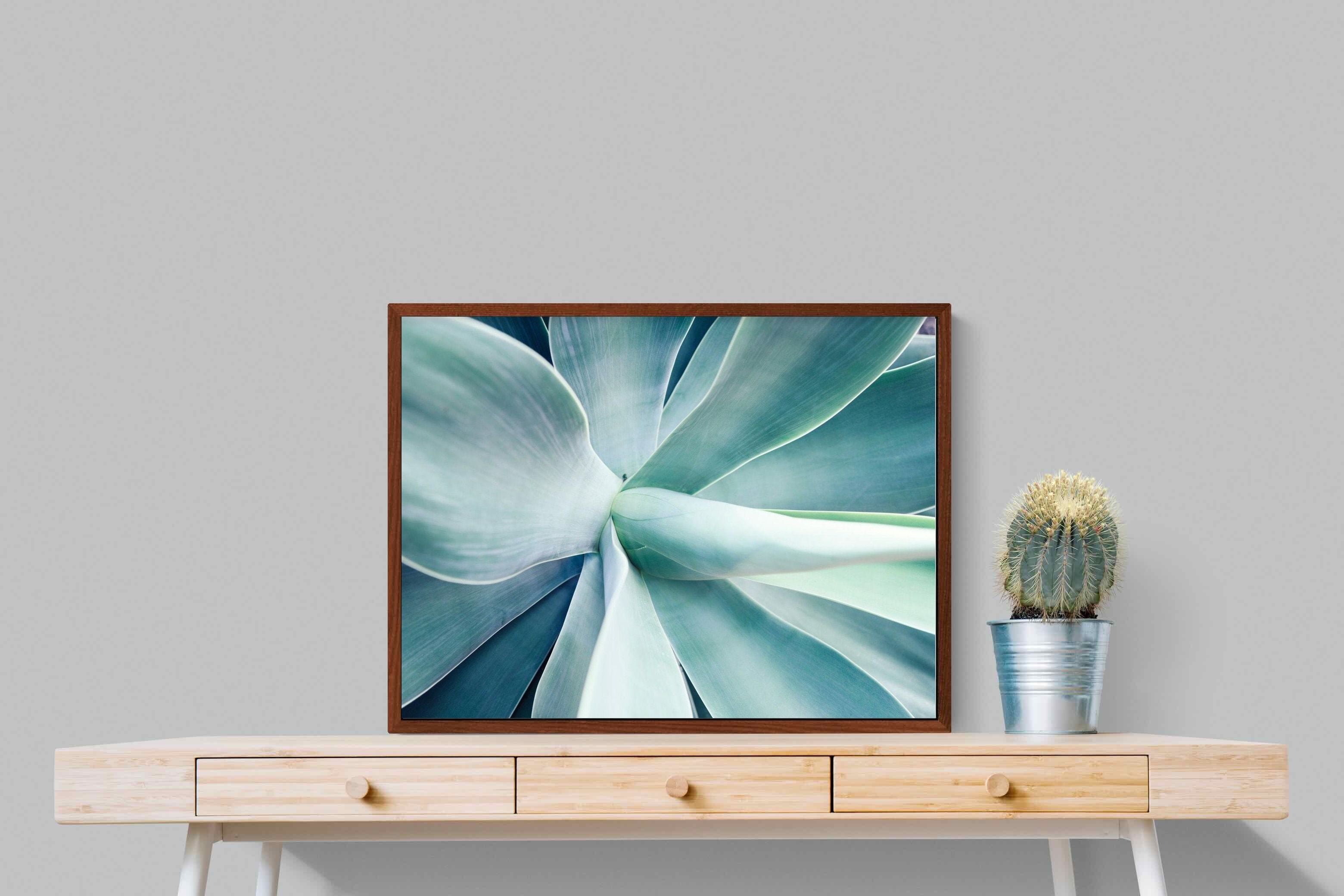 Pixalot ® Agave