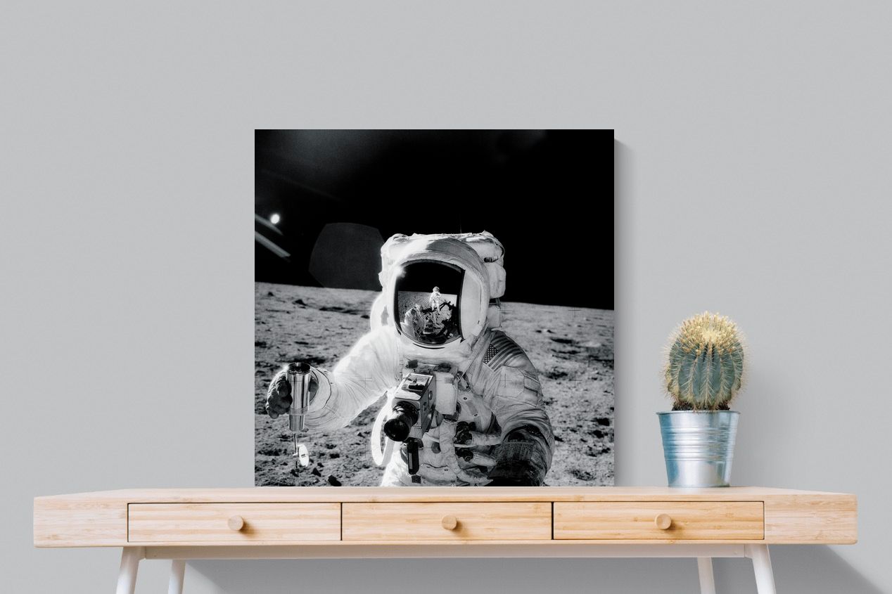 Pixalot Alan Bean