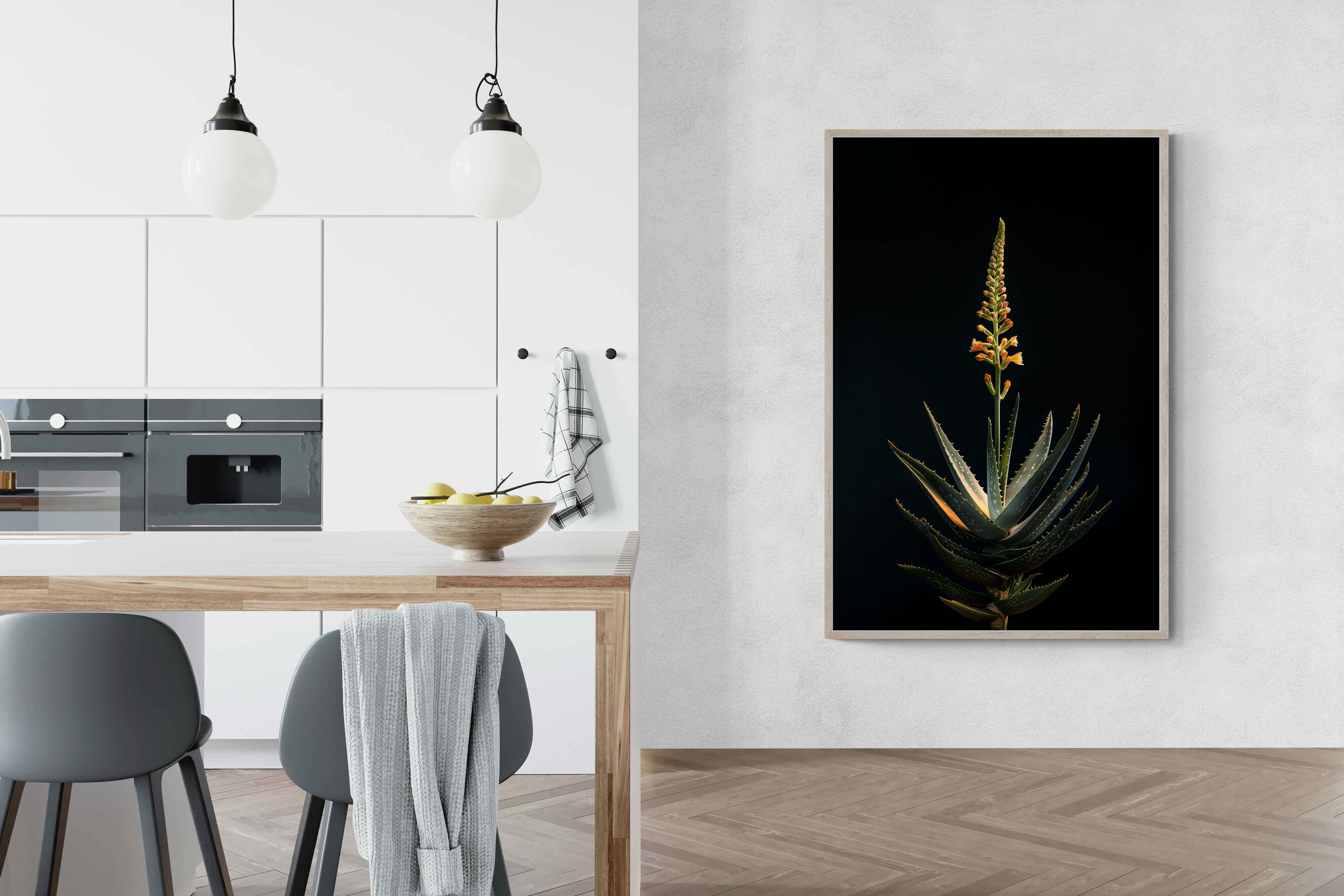 Pixalot Aloe Ascension