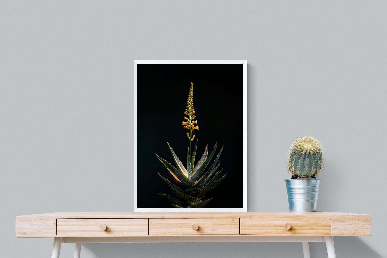 Pixalot Aloe Ascension
