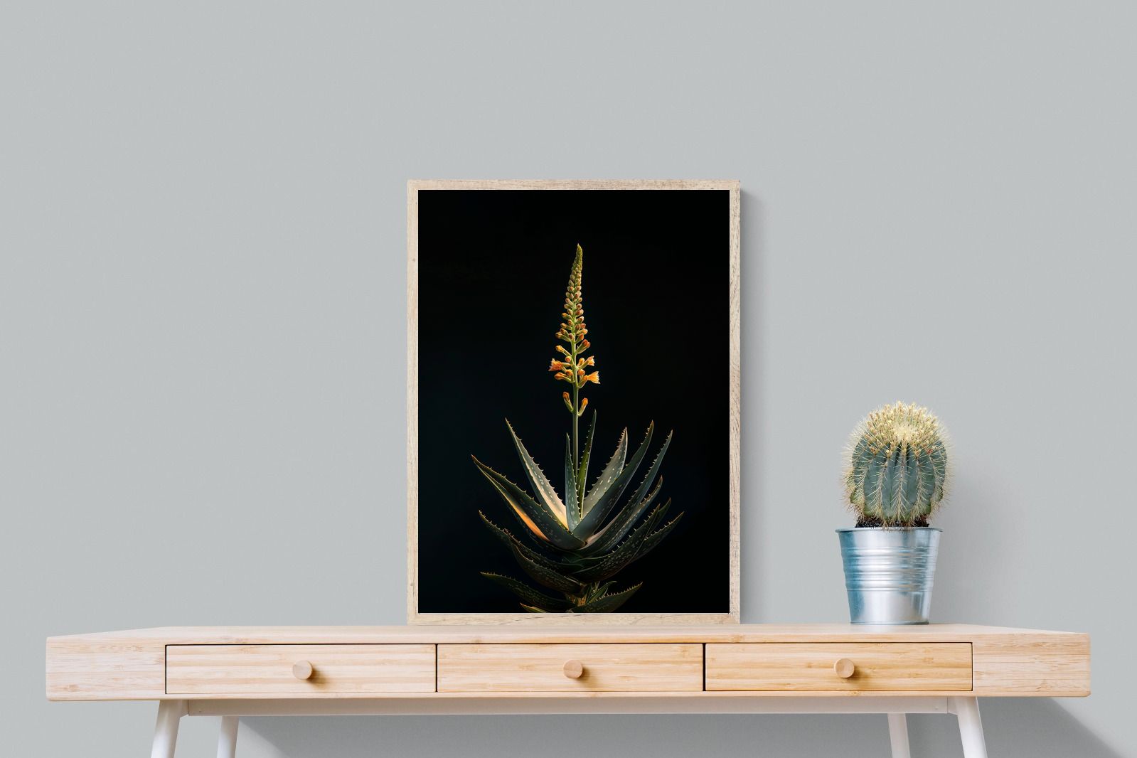 Pixalot Aloe Ascension