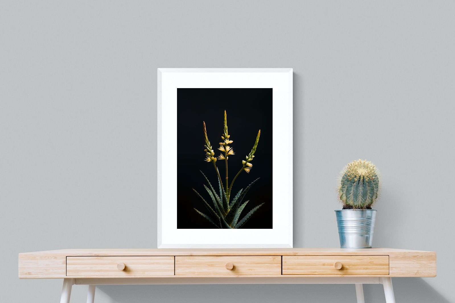 Pixalot Aloe Triad