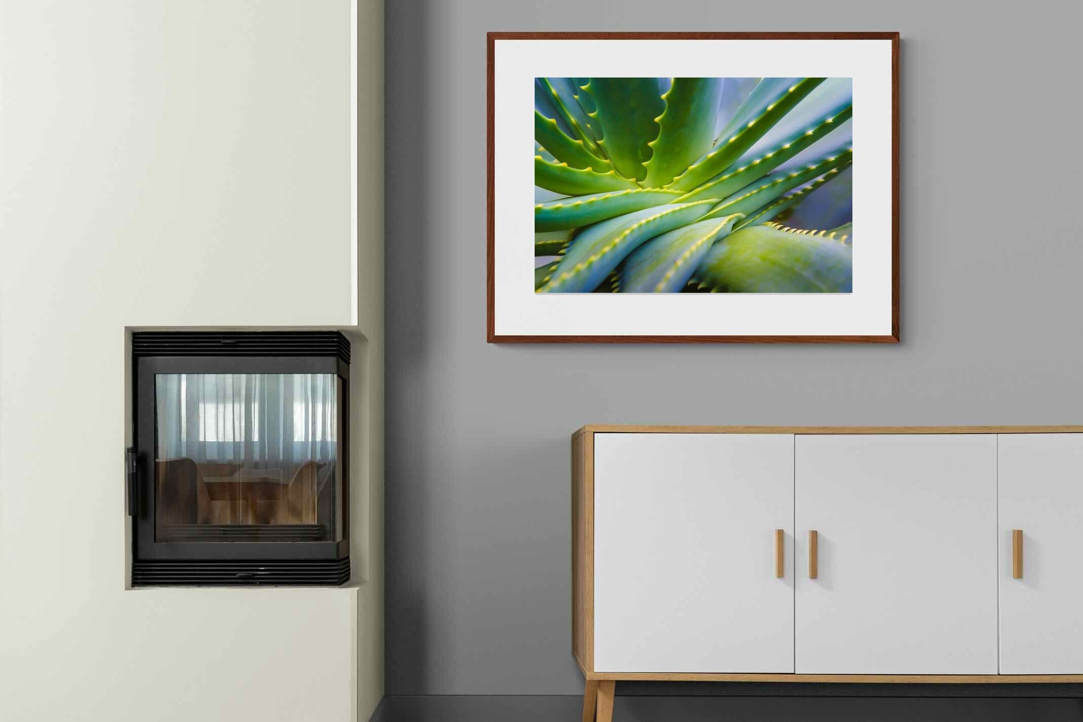 Pixalot ® Aloe Vera