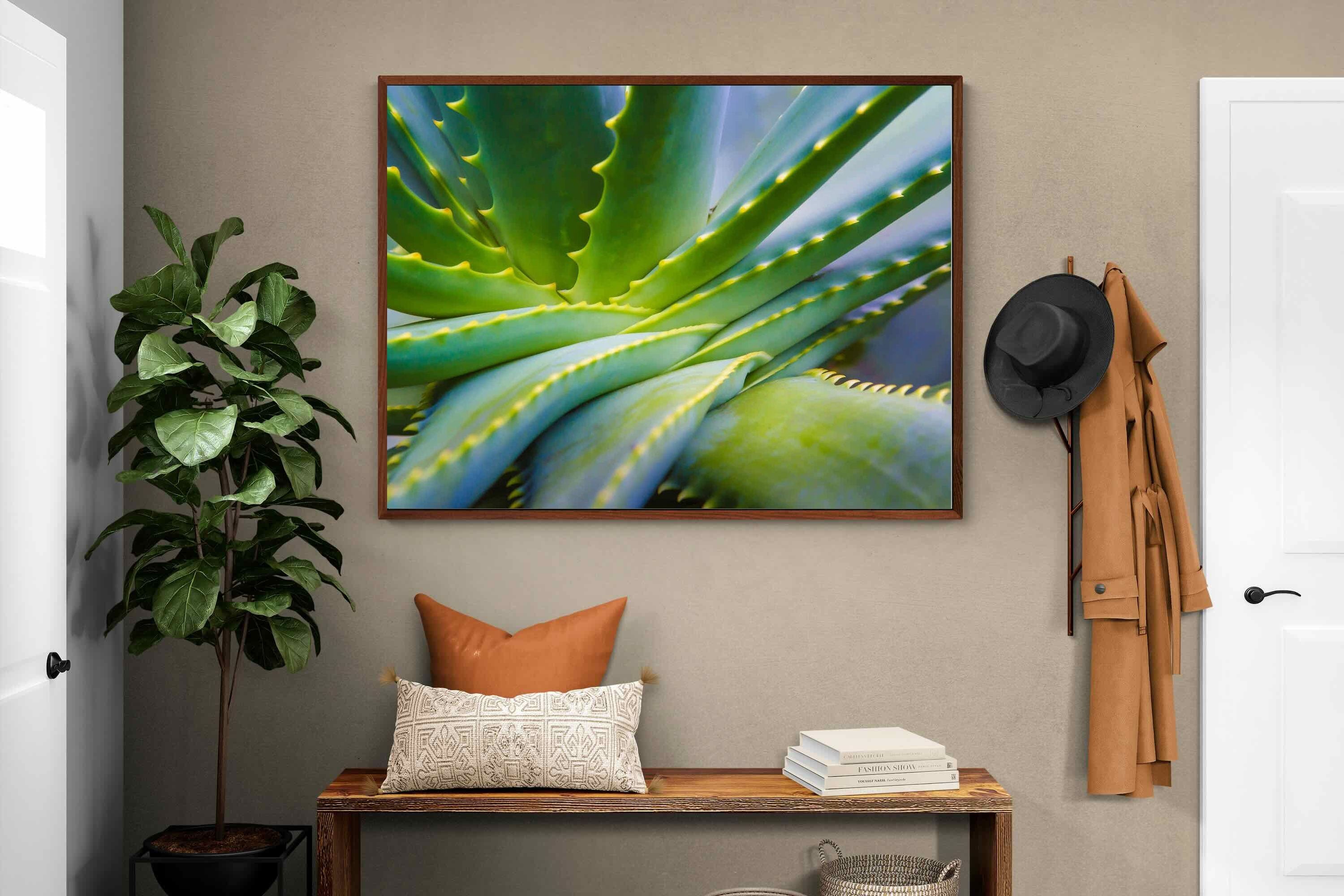 Pixalot ® Aloe Vera