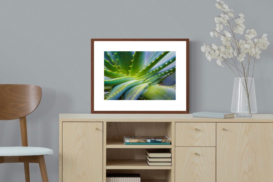 Pixalot ® Aloe Vera