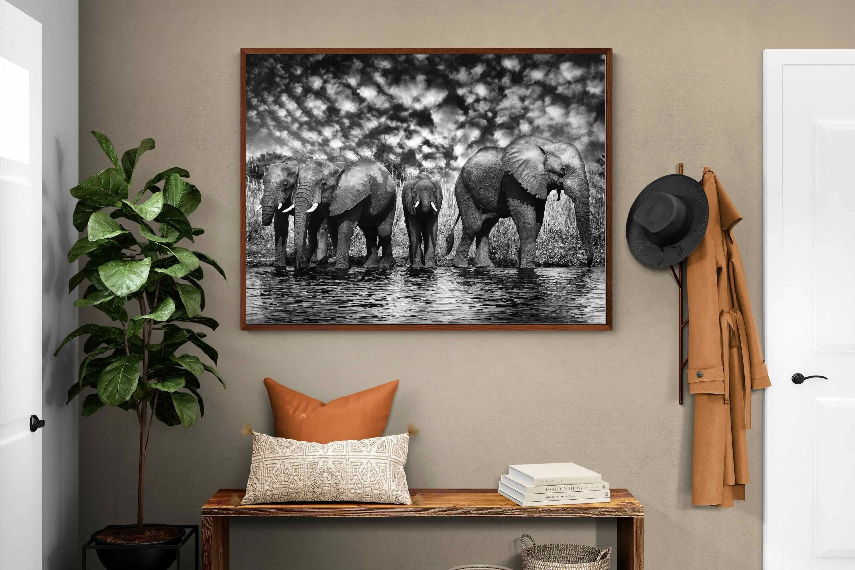Pixalot ® Amboseli Lake
