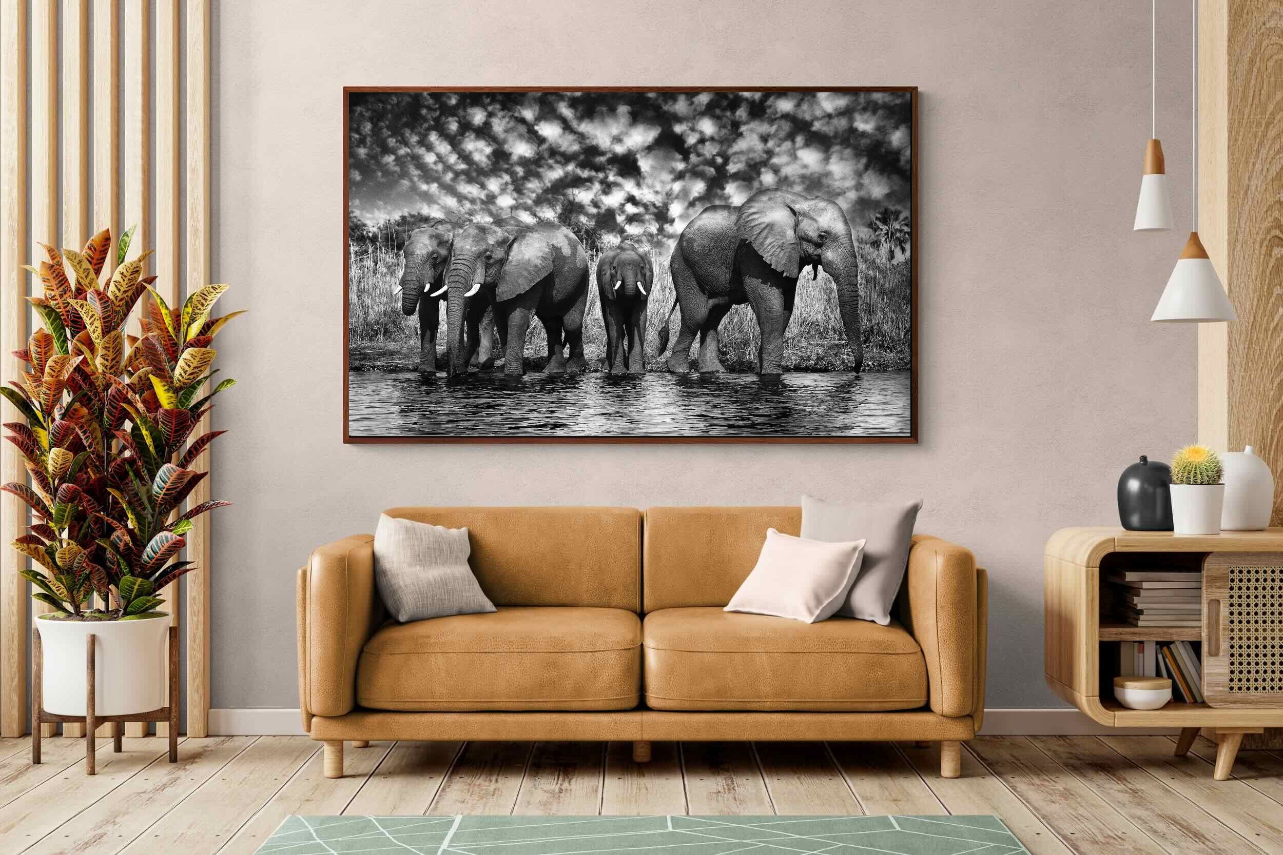 Pixalot ® Amboseli Lake