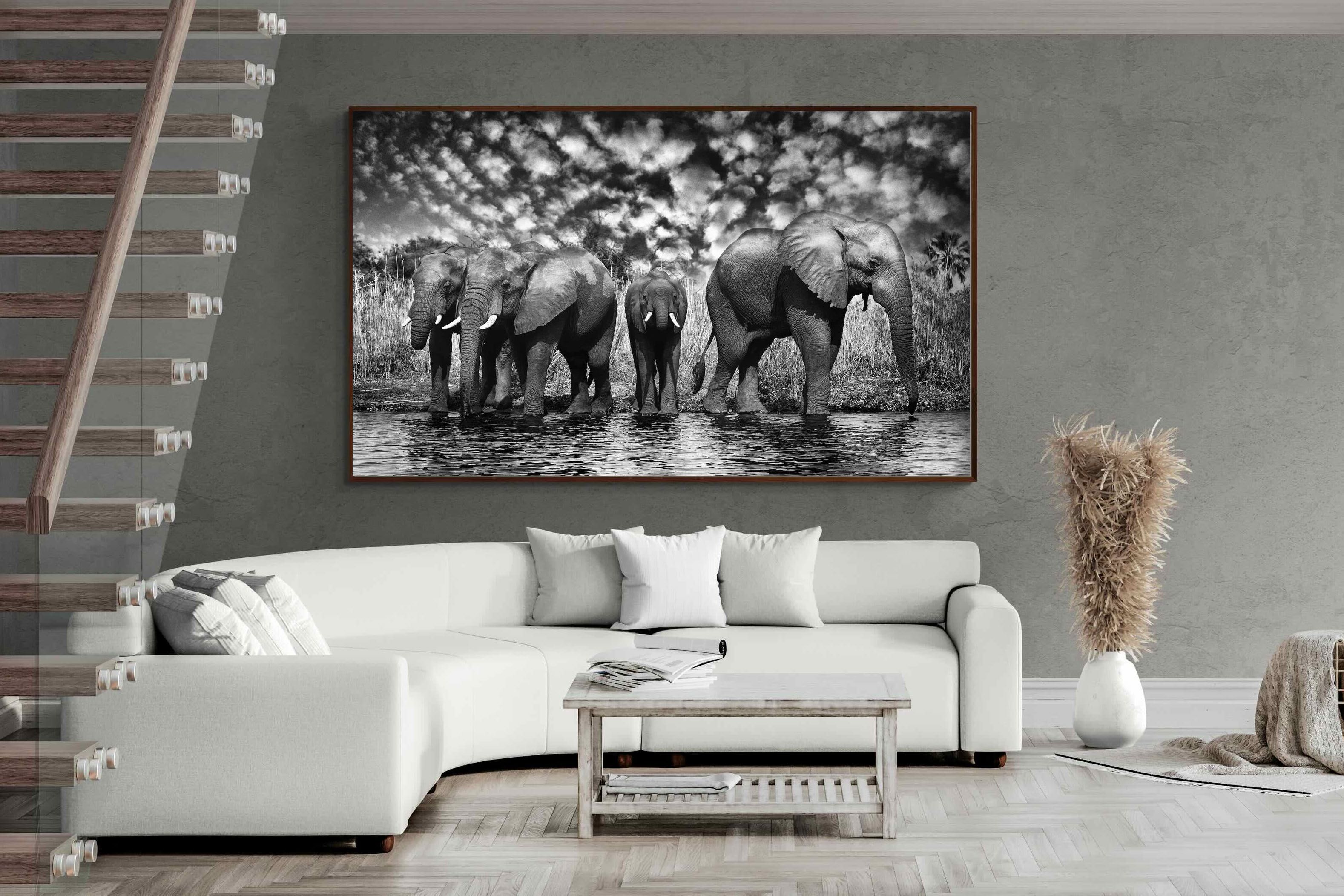 Pixalot ® Amboseli Lake