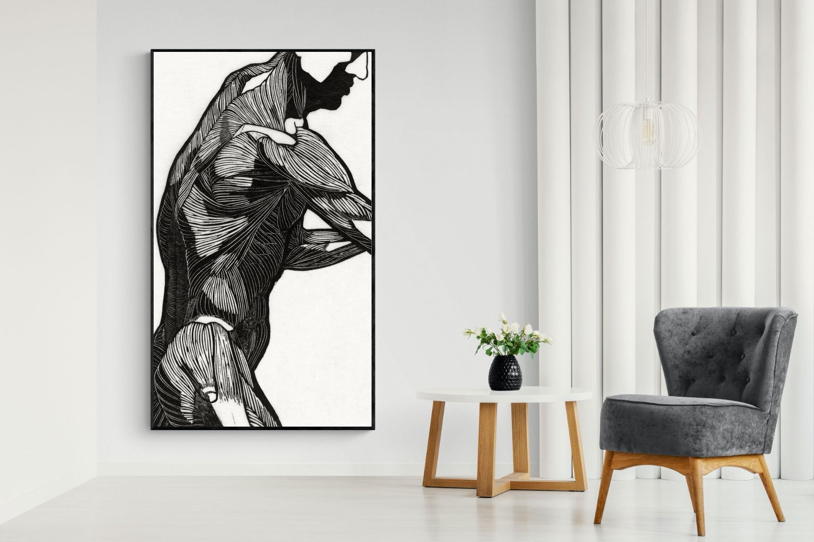 Pixalot Anatomical Study