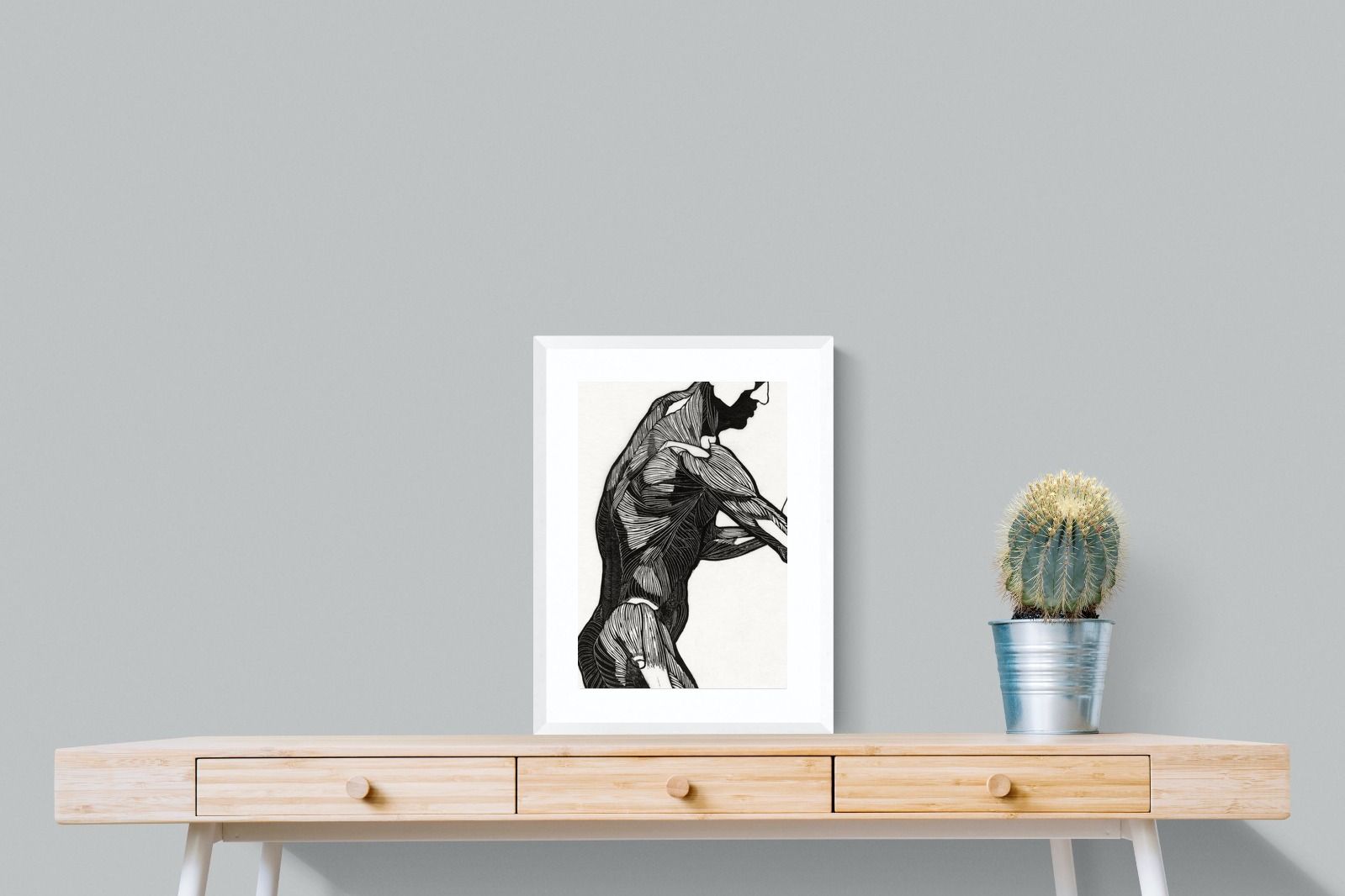 Pixalot Anatomical Study