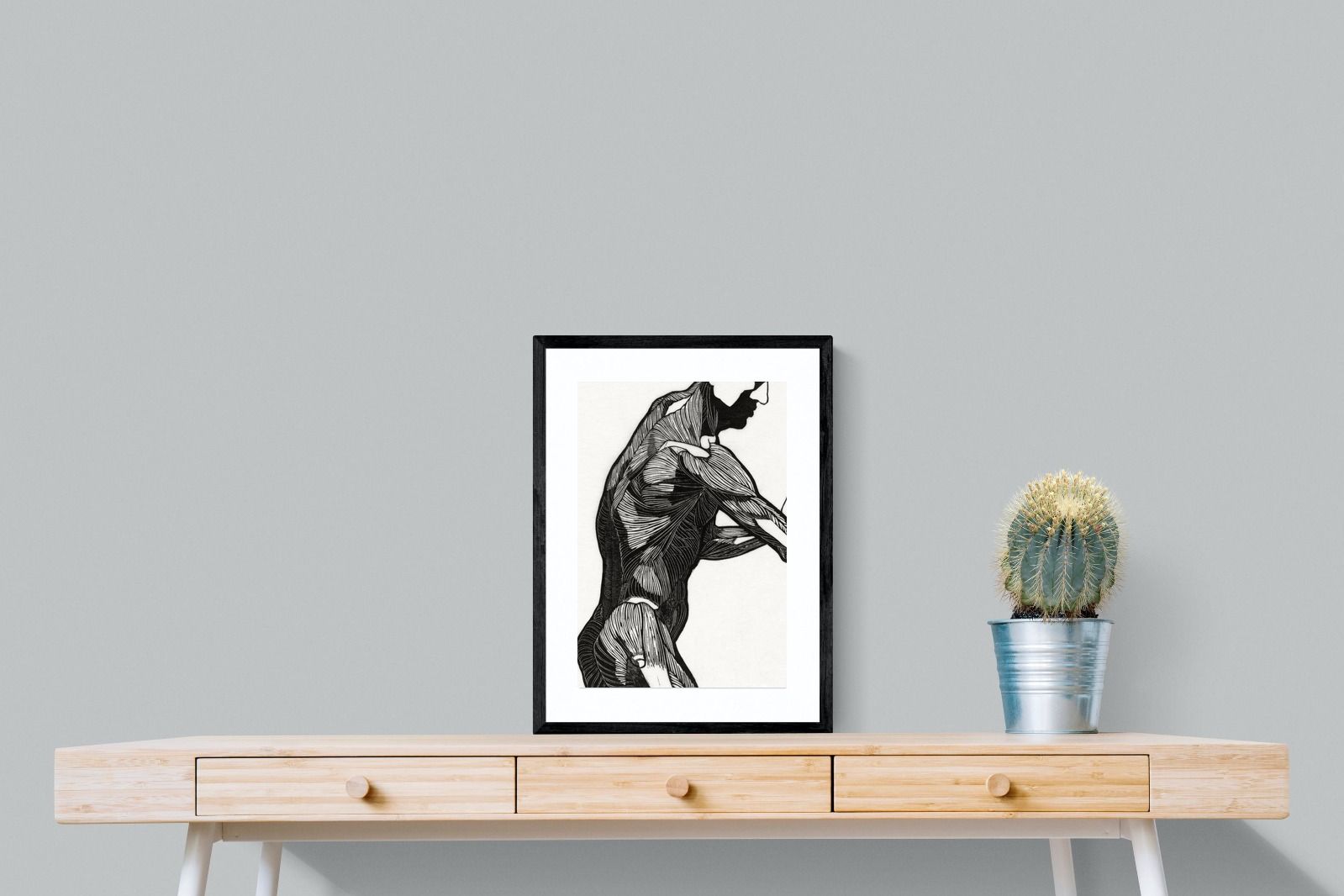 Pixalot Anatomical Study