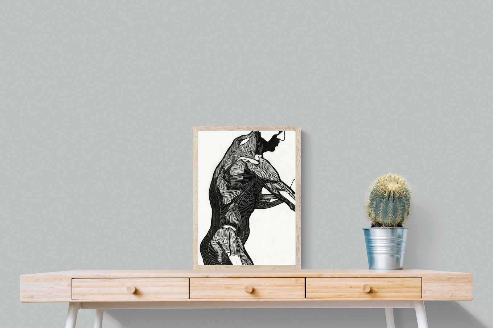 Pixalot Anatomical Study