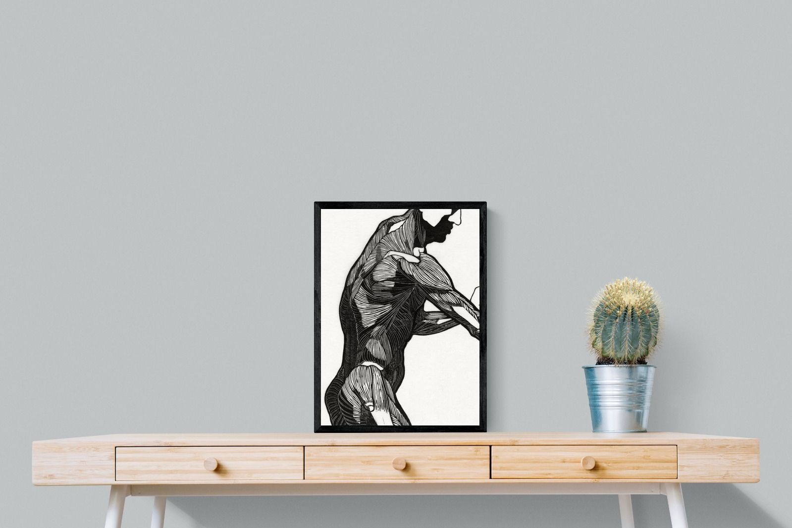 Pixalot Anatomical Study