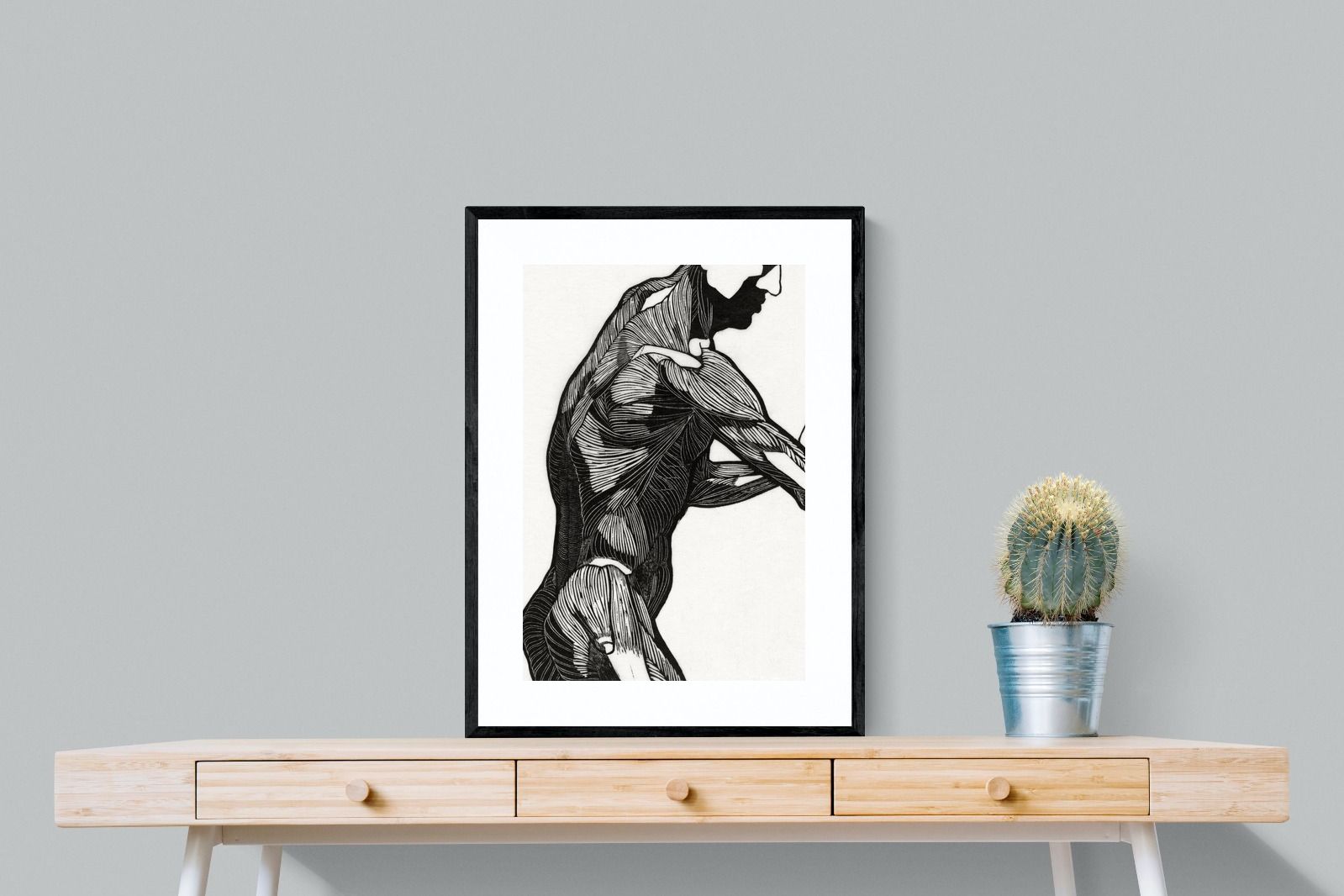 Pixalot Anatomical Study