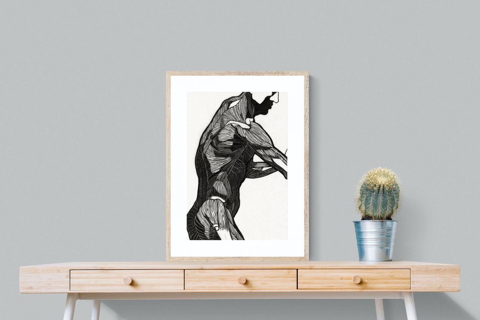 Pixalot Anatomical Study