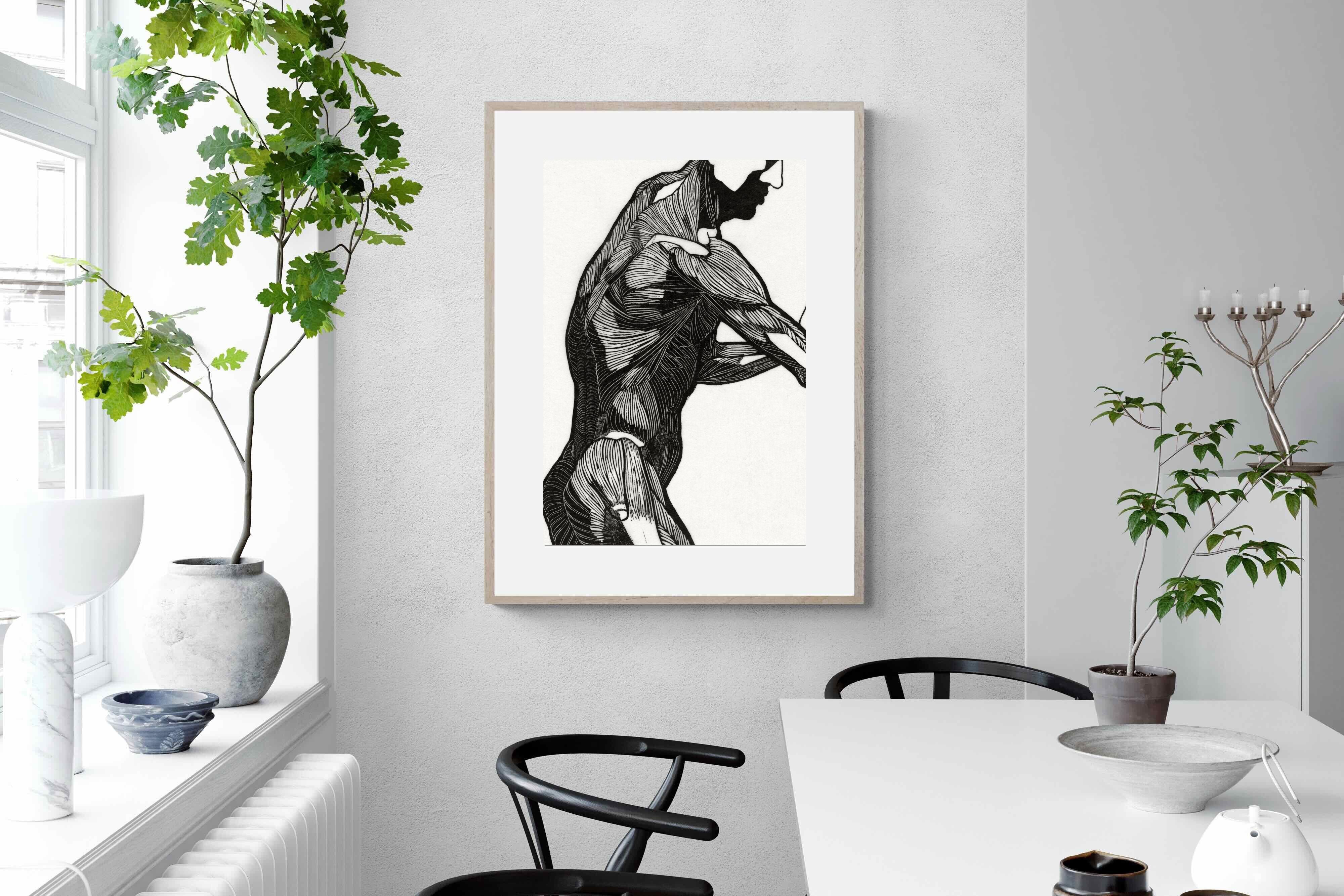 Pixalot Anatomical Study