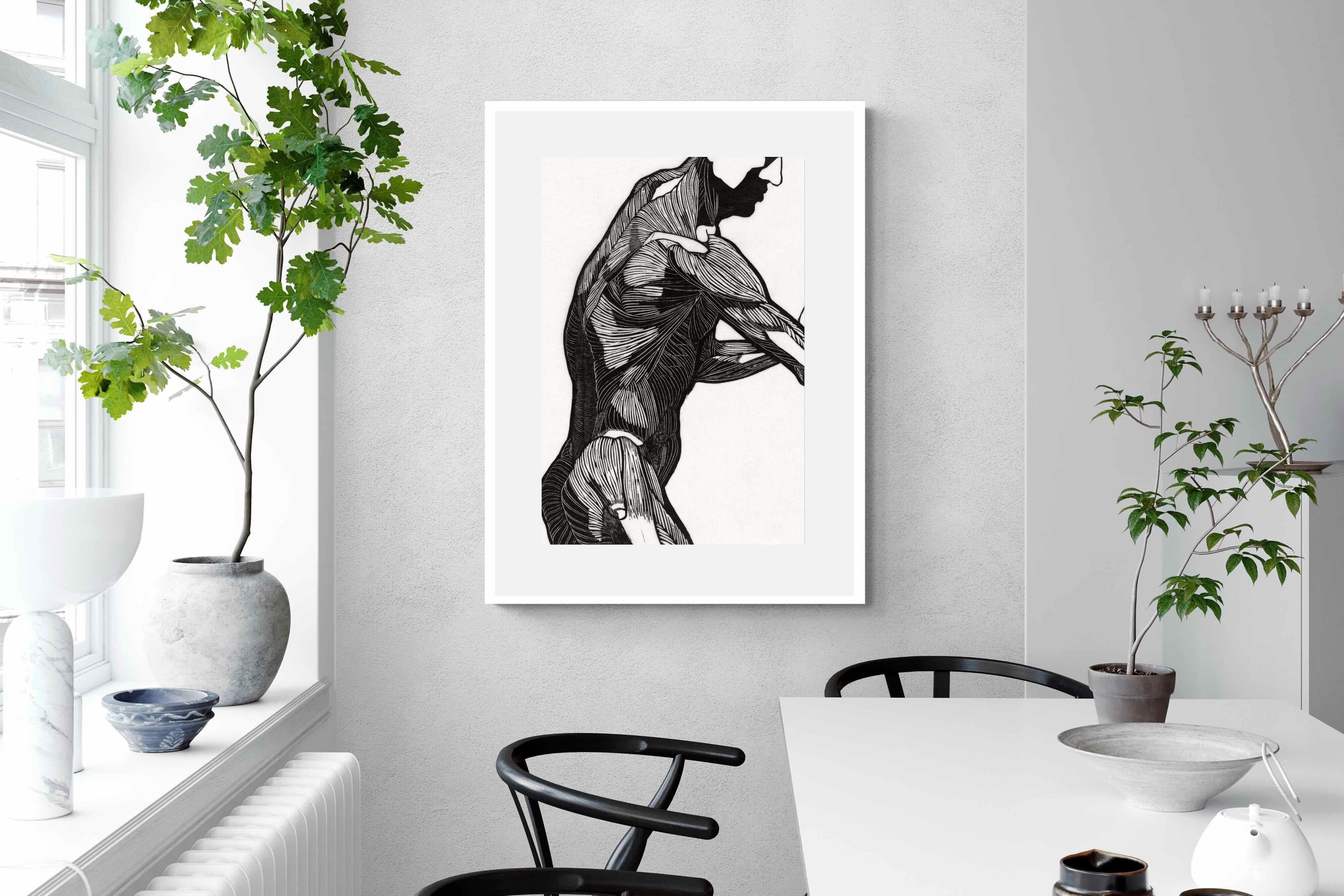 Pixalot Anatomical Study