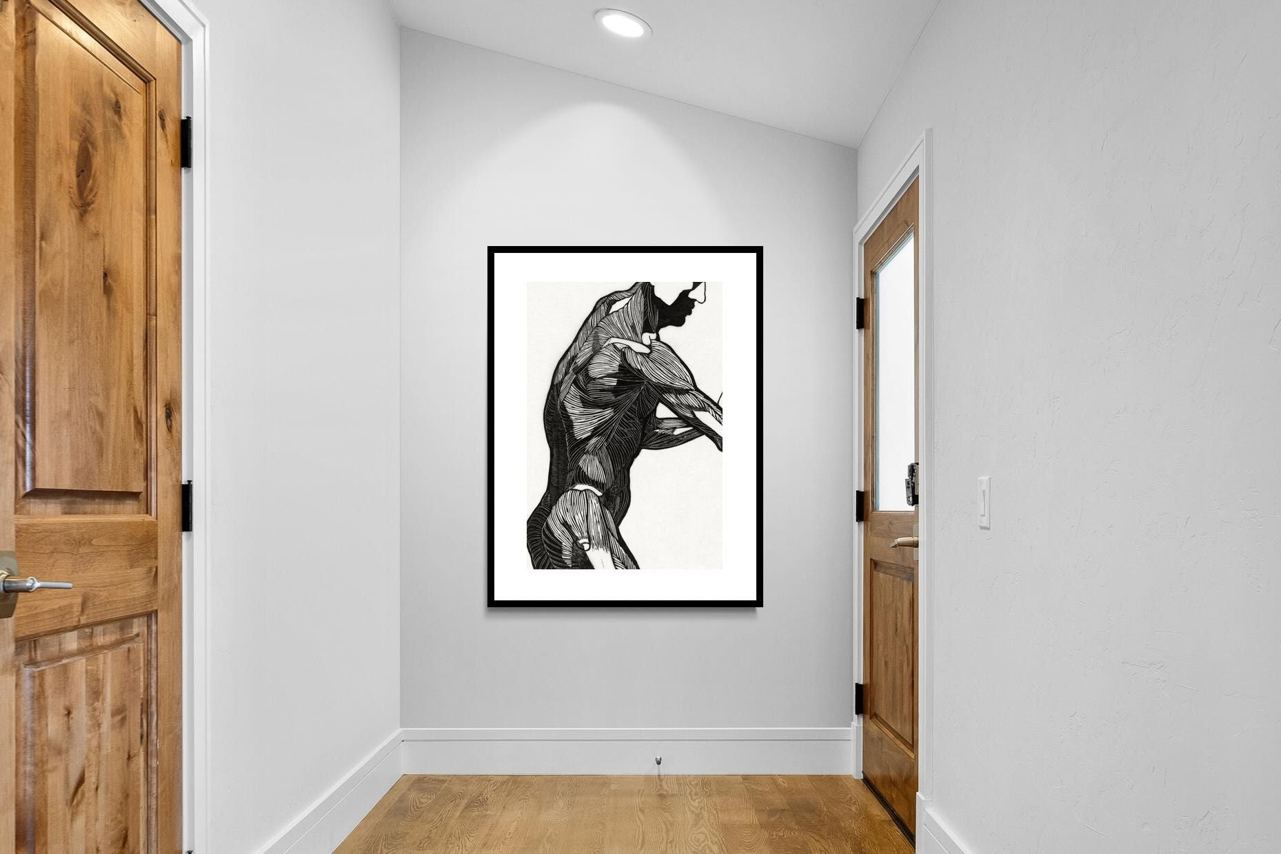 Pixalot Anatomical Study