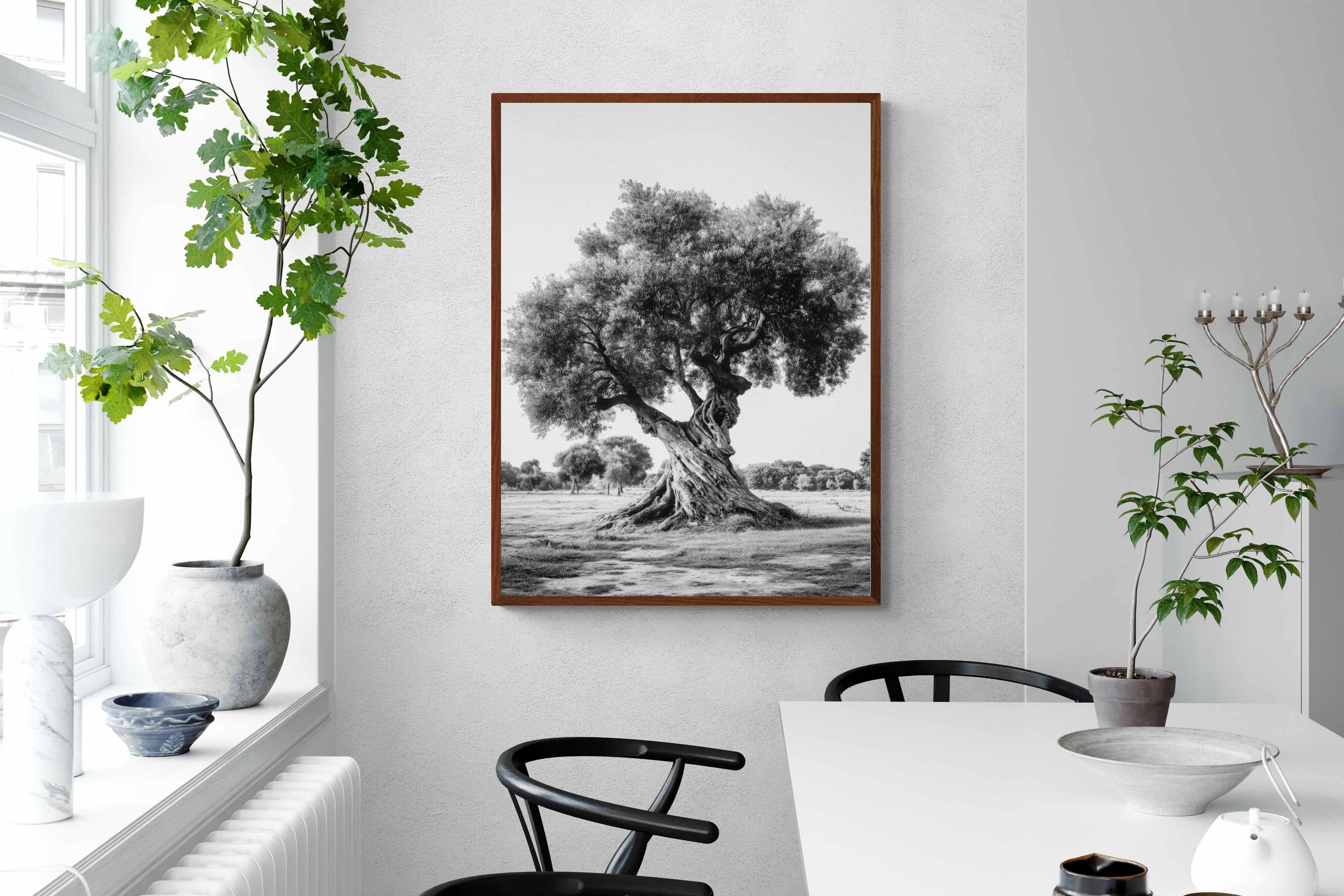 Pixalot Ancient Olive Tree