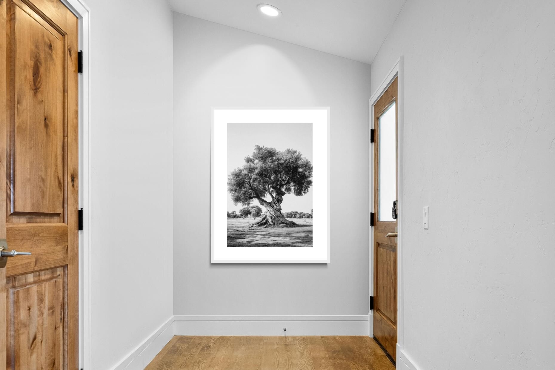 Pixalot Ancient Olive Tree