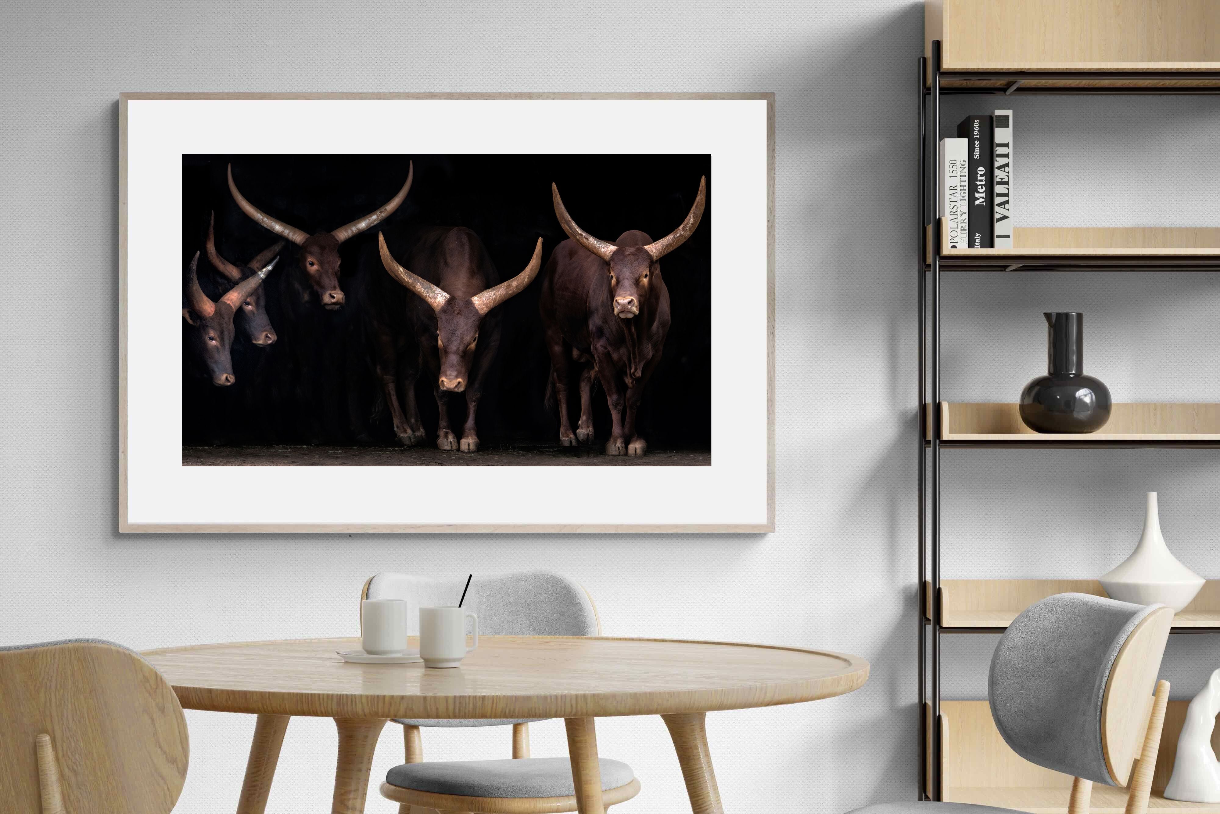 Pixalot Ankole-Watusi Herd