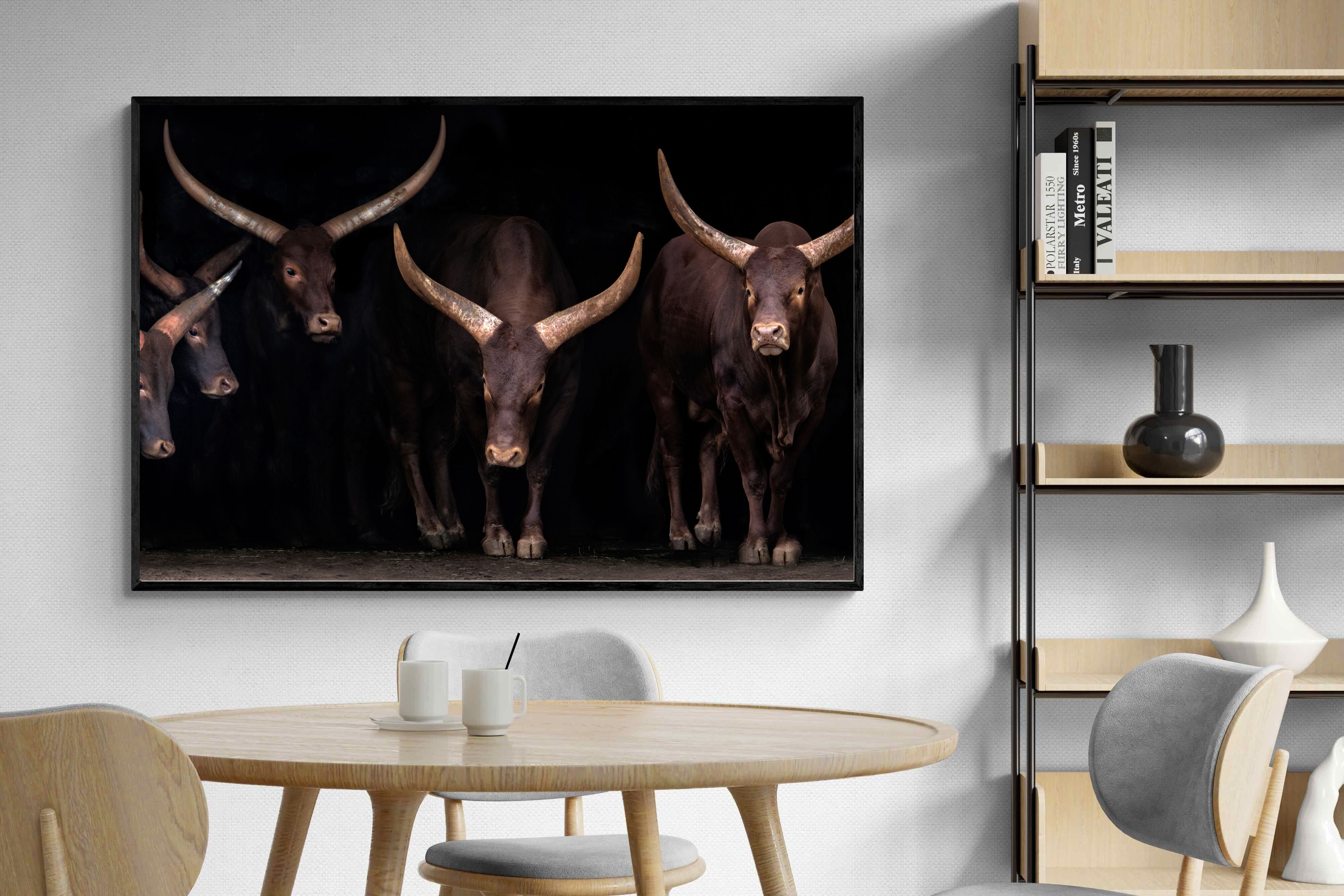 Pixalot Ankole-Watusi Herd