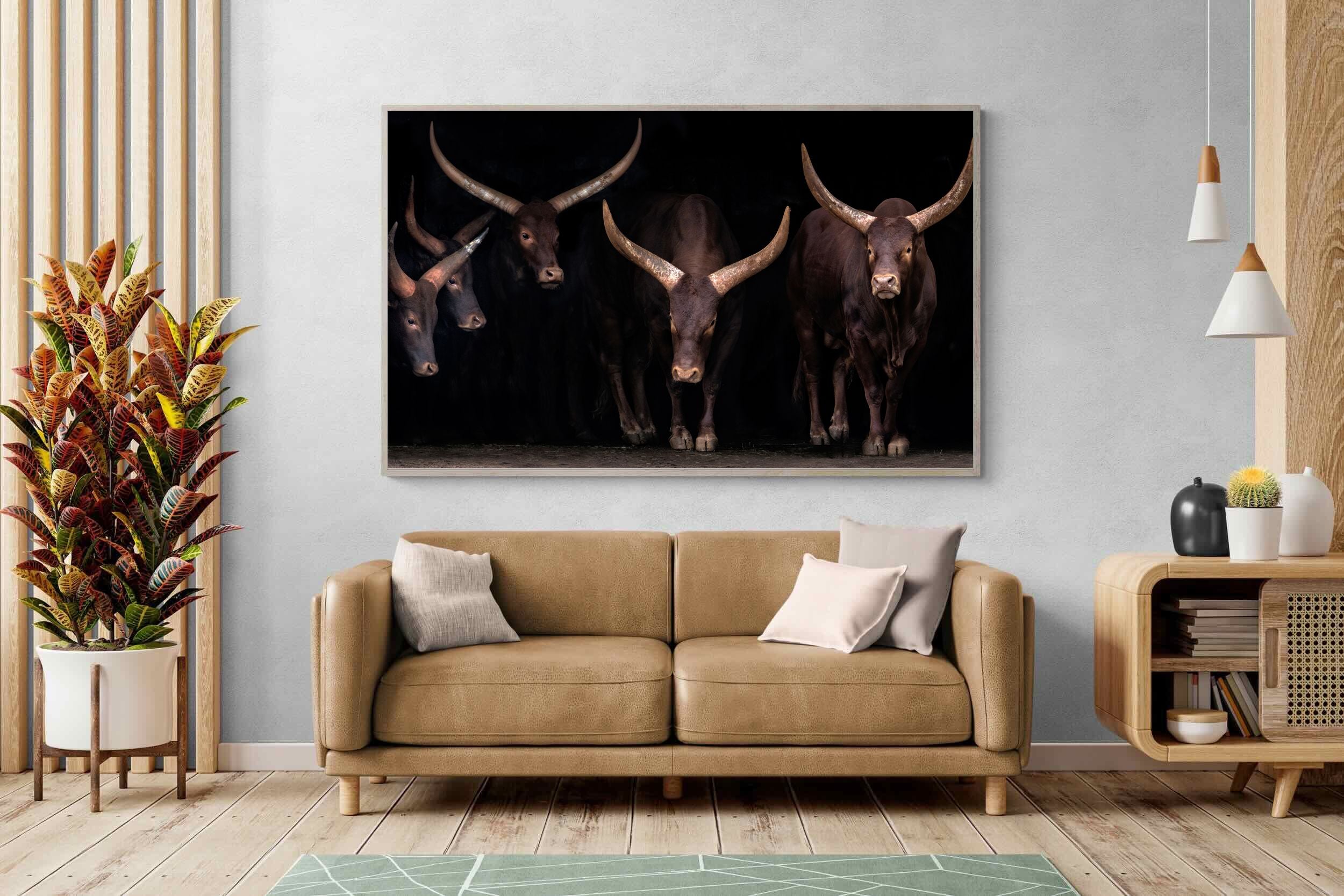 Pixalot Ankole-Watusi Herd
