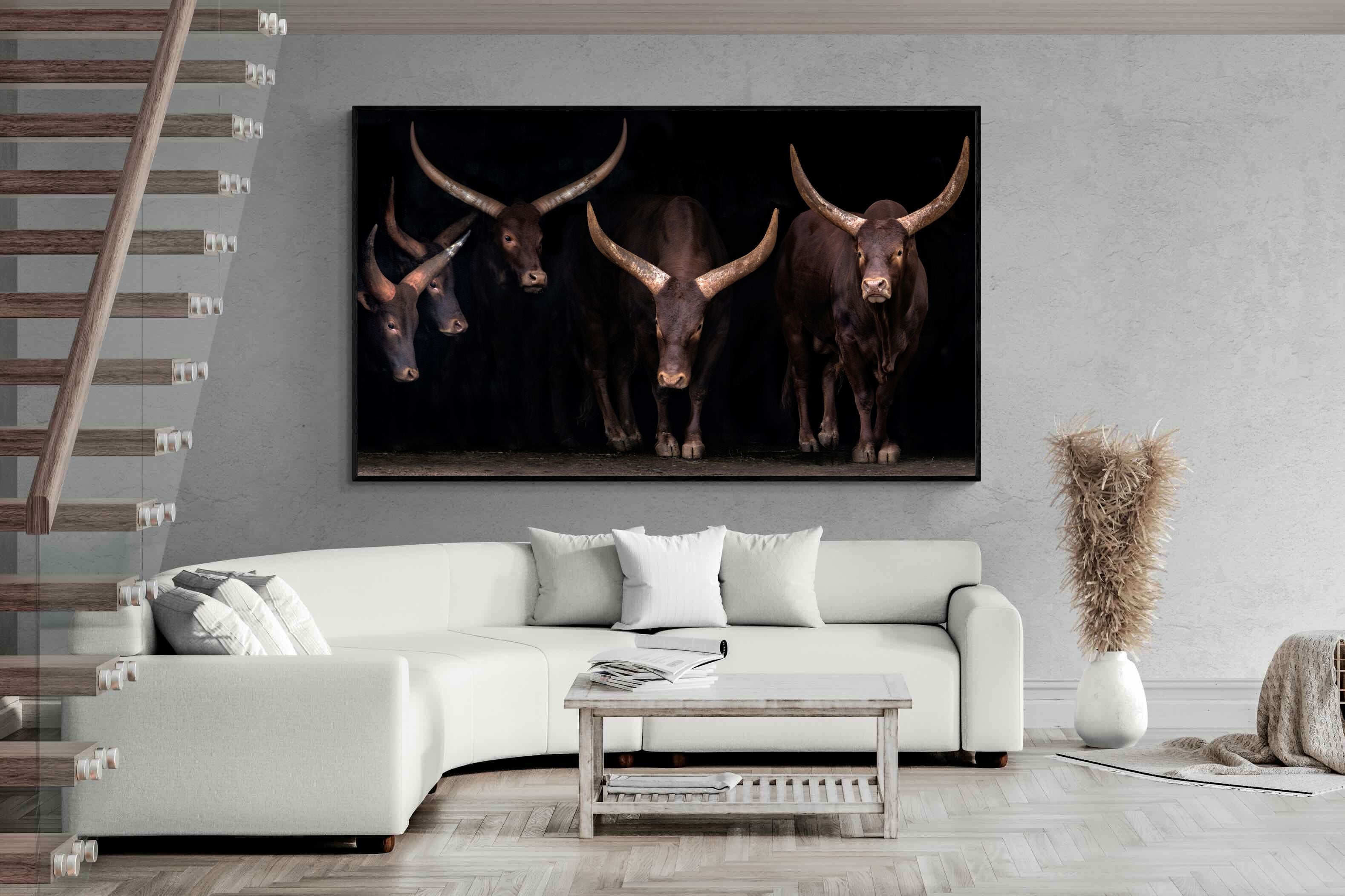 Pixalot Ankole-Watusi Herd