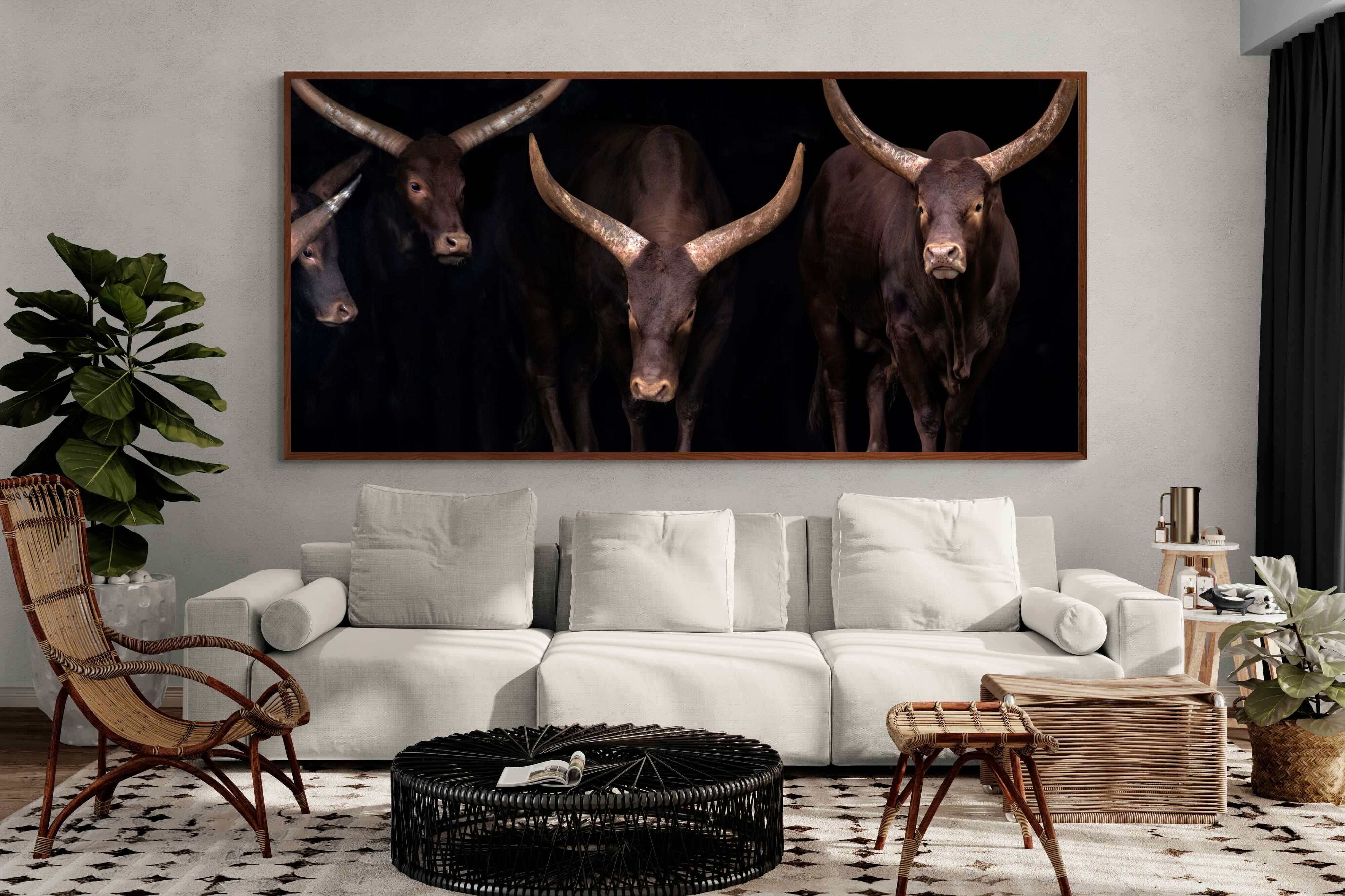 Pixalot ® Ankole-Watusi Herd